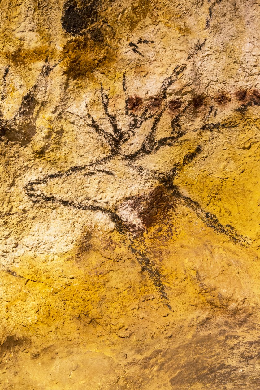 Pittura rupestre di Lascaux, Bordeaux, Francia da Unknown