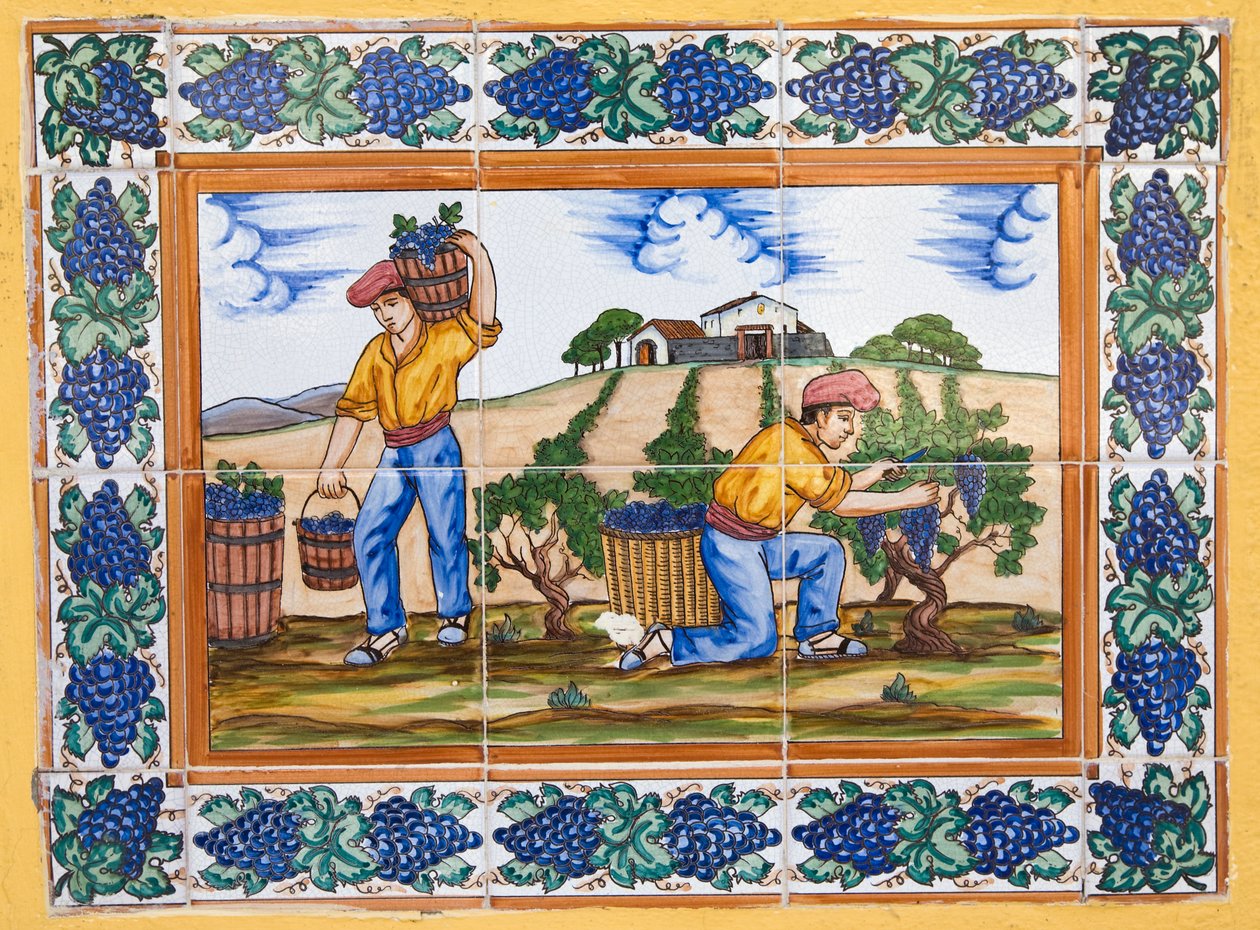 Piastrelle ceramiche spagnole moderne in stile del XVII o XVIII secolo che mostrano lavoratori della vigna che tagliano grappoli d