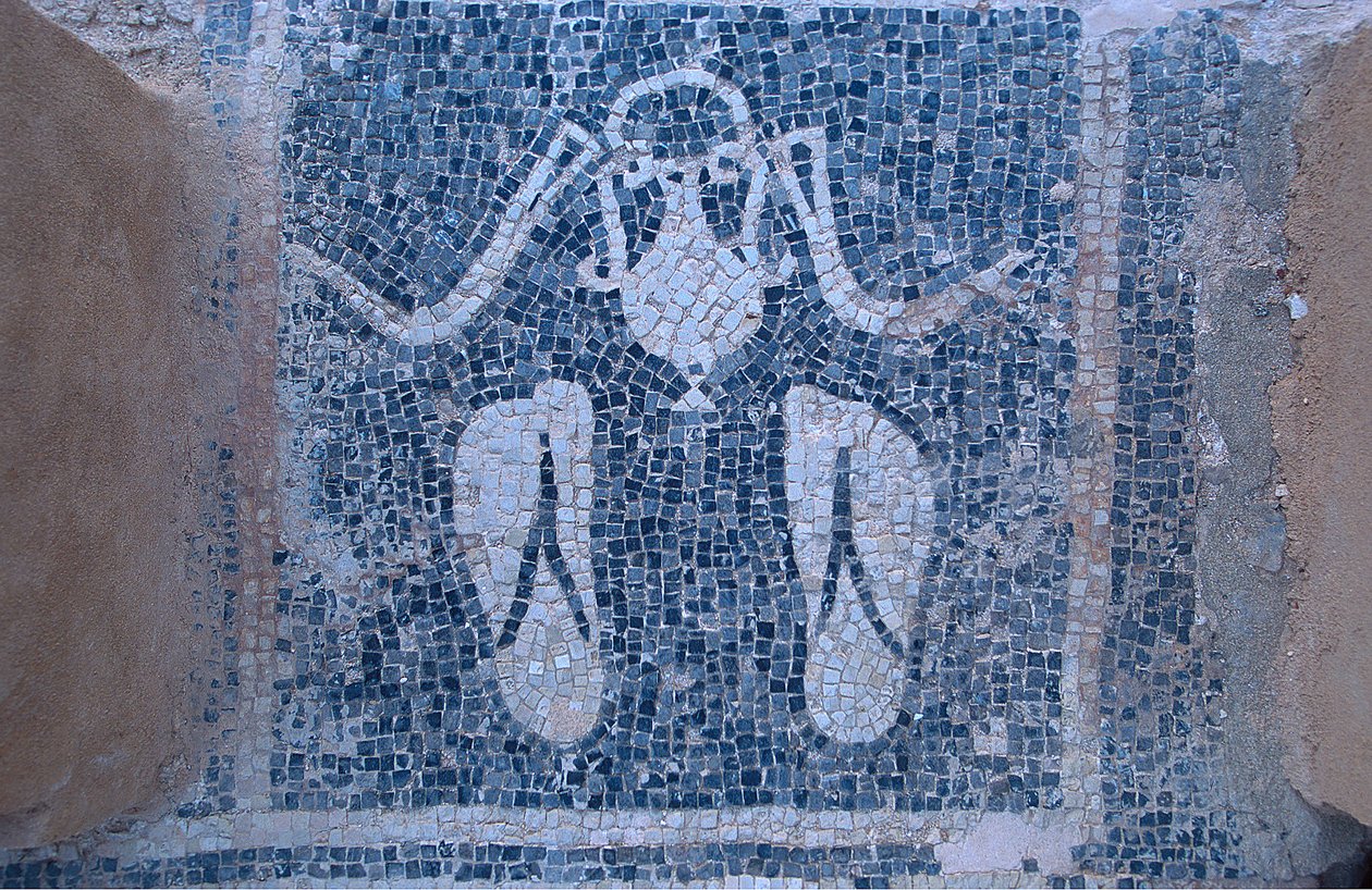 Mosaico dalle terme da Unknown