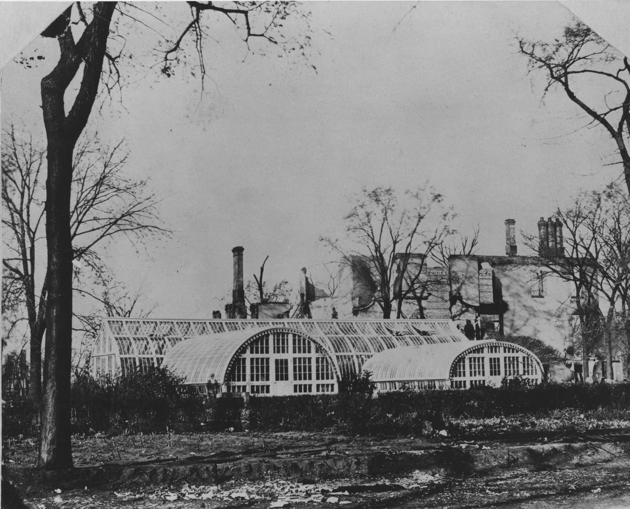 Residenza e serra di Ezra B. McCagg dopo l