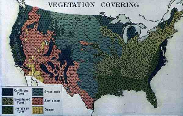 Mappa che mostra la copertura vegetale degli Stati Uniti d