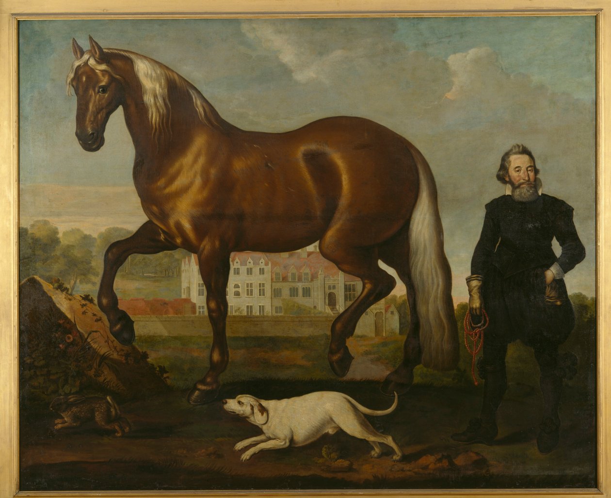 Un cavallo baio con vista dell