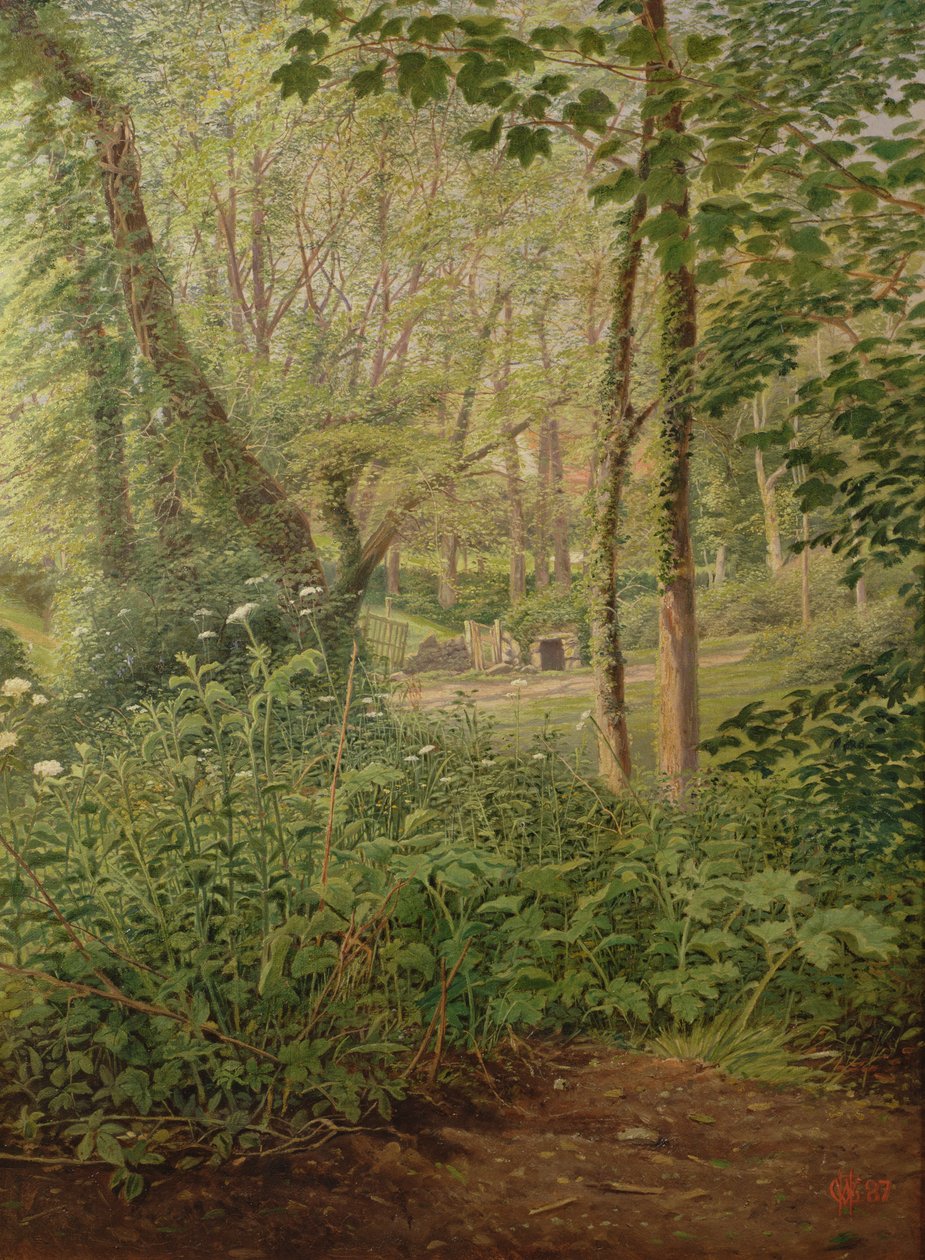 Una radura nel bosco da English School