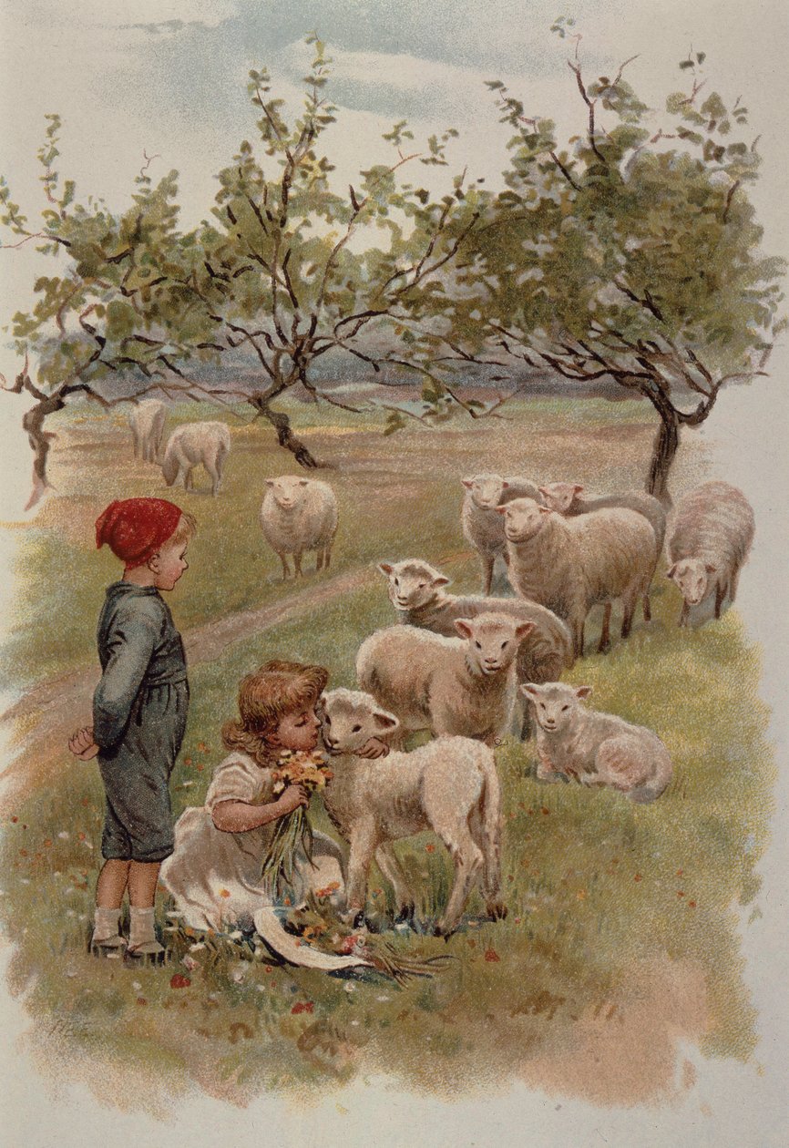 Bambini con agnelli tra le margherite da English School