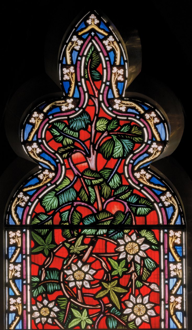 Finestra Floreale con Palma da Dattero, 1864 da English School