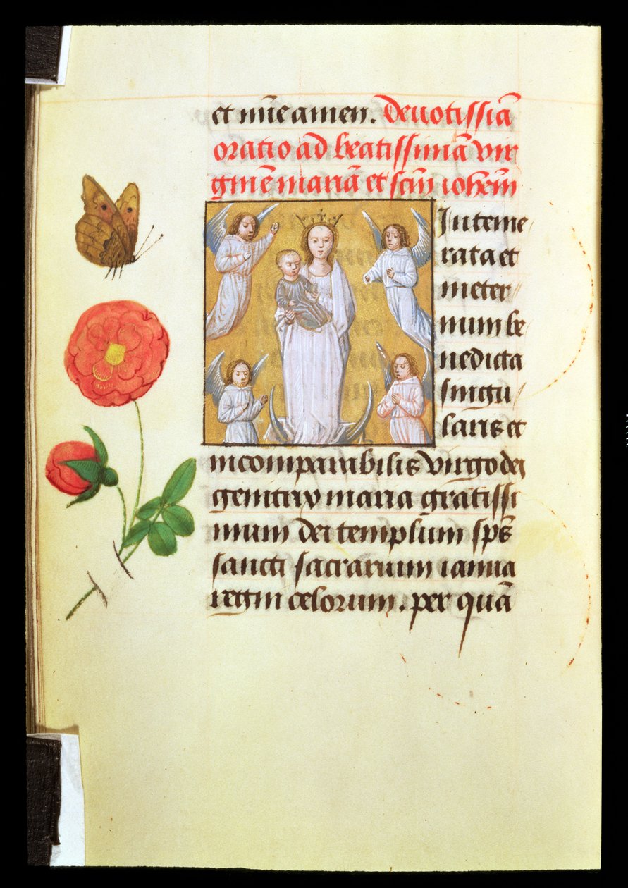 Vergine in piedi con Bambino, adorata dagli angeli, c.1515-20 da Flemish School