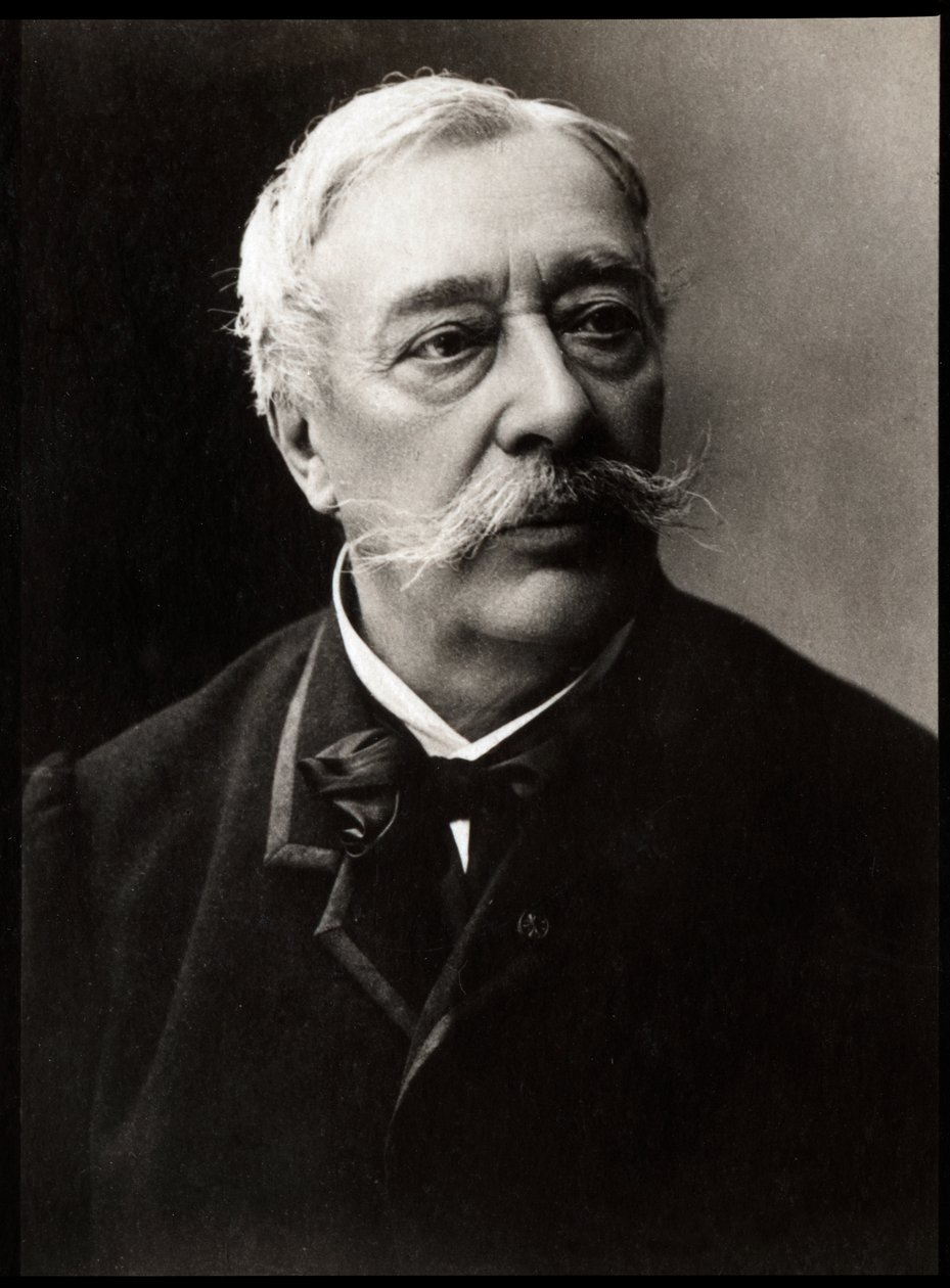 Ritratto di Alfred Stevens (1823-1906), pittore francese da French Photographer
