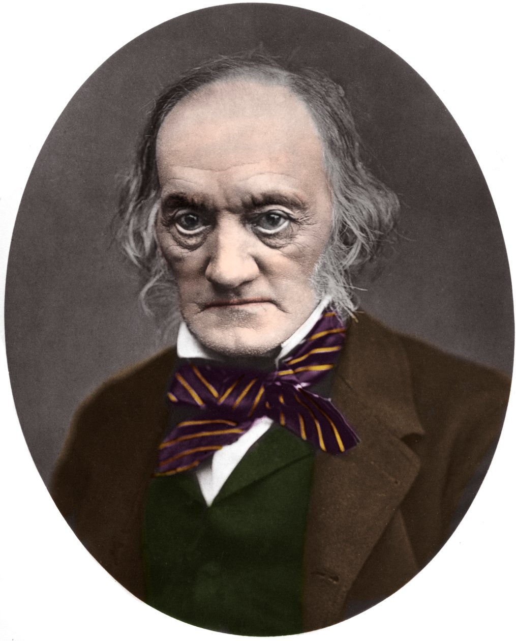 Ritratto di Sir Richard Owen (1804-1892), paleontologo e anatomista britannico da French Photographer