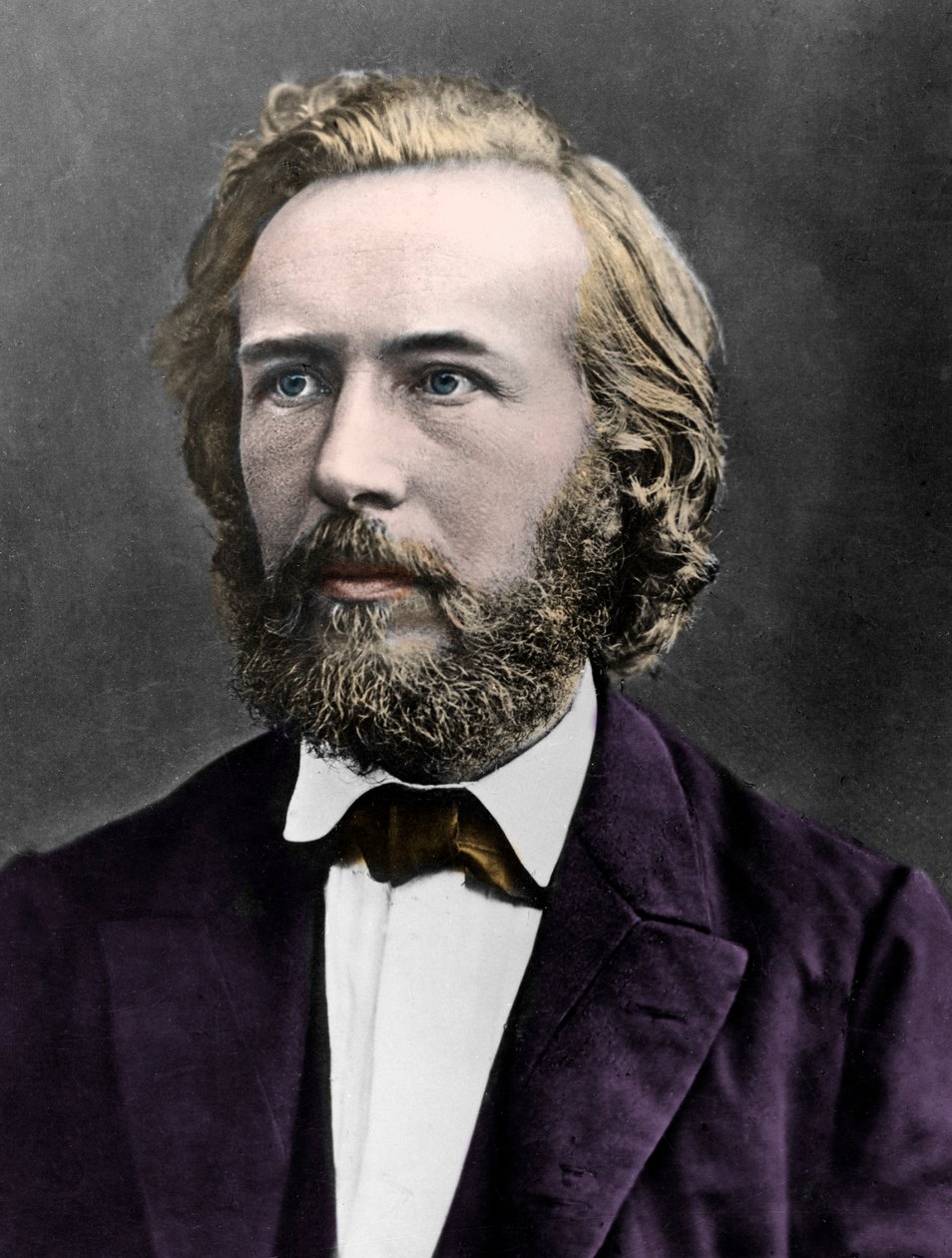 Ritratto di Ernst Heinrich Haeckel (1834-1919), naturalista e filosofo tedesco da French Photographer