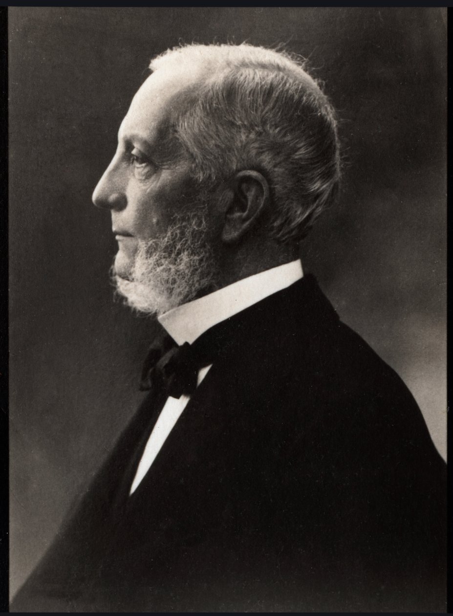 Ritratto di Jean Casimir Felix Guyon (1831-1920), chirurgo francese da French Photographer