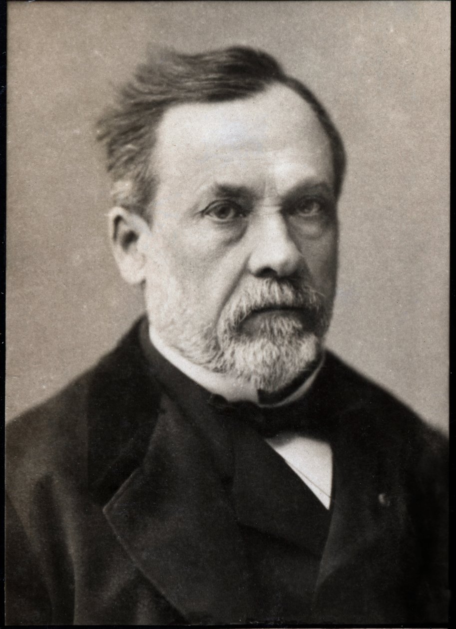 Ritratto di Louis Pasteur (1822-1895), chimico e microbiologo francese da French Photographer