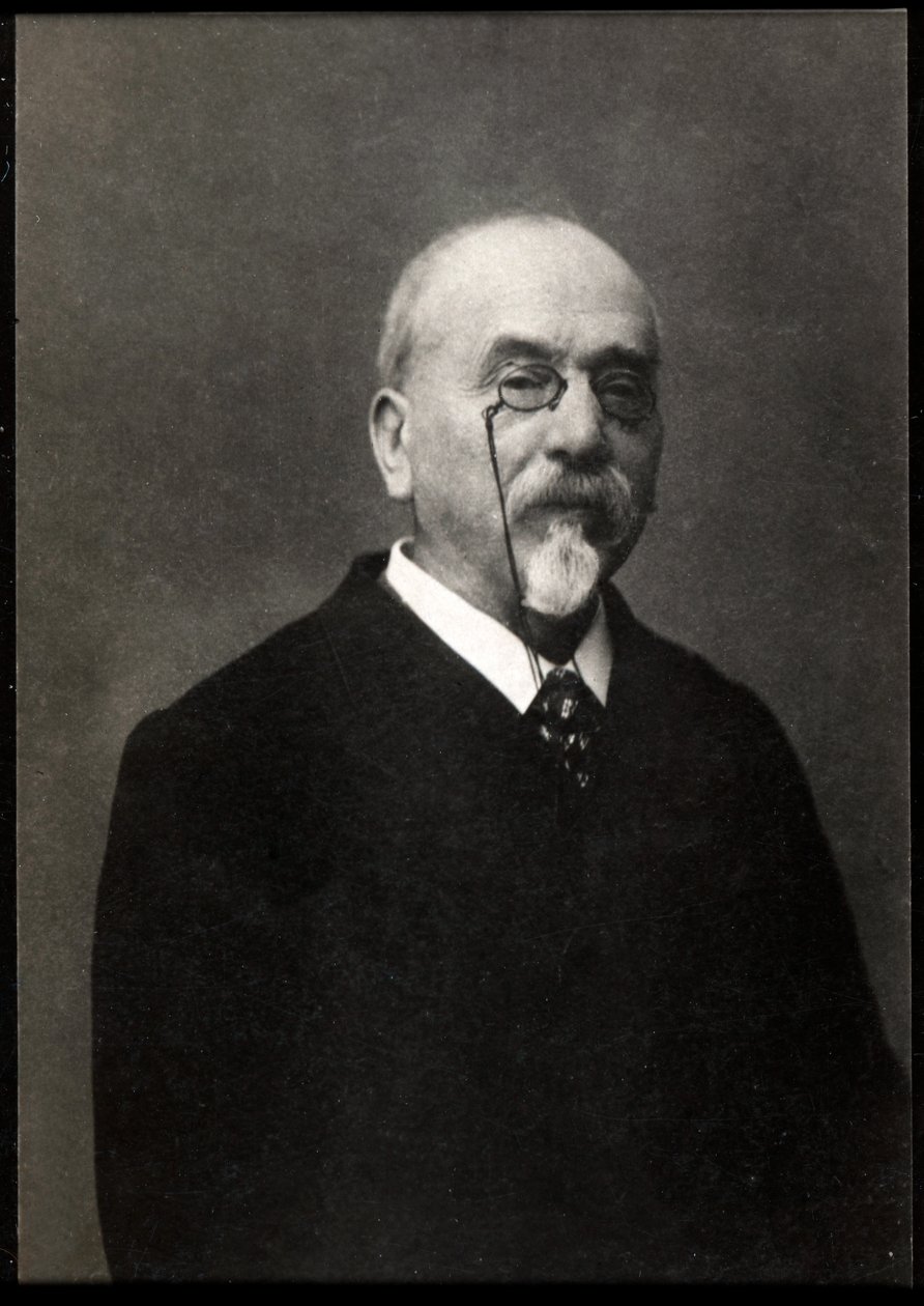 Ritratto di Victor Cherbuliez (1829-1899), romanziere e autore francese da French Photographer