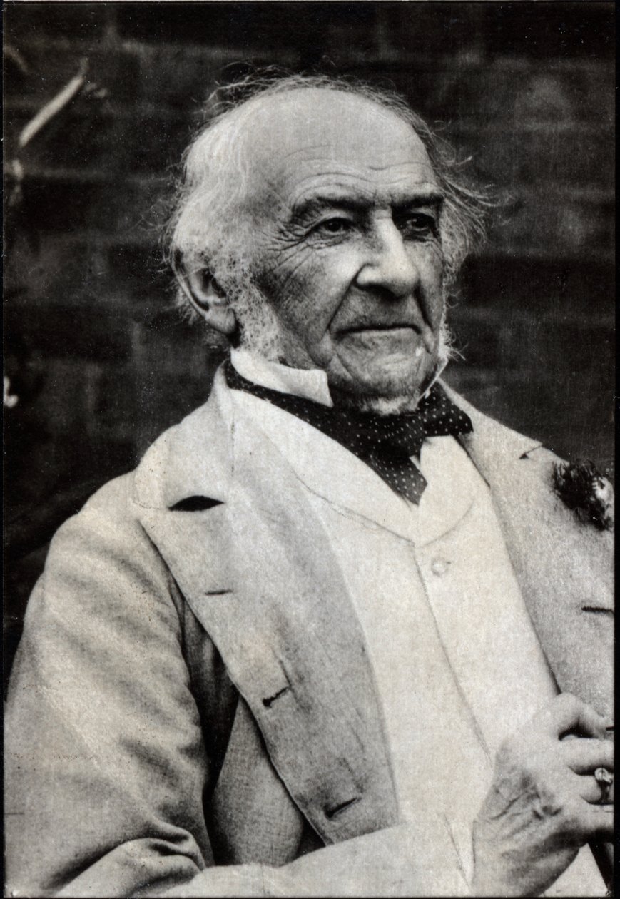 Ritratto di William Ewart Gladstone (1809-1898), statista britannico da French Photographer