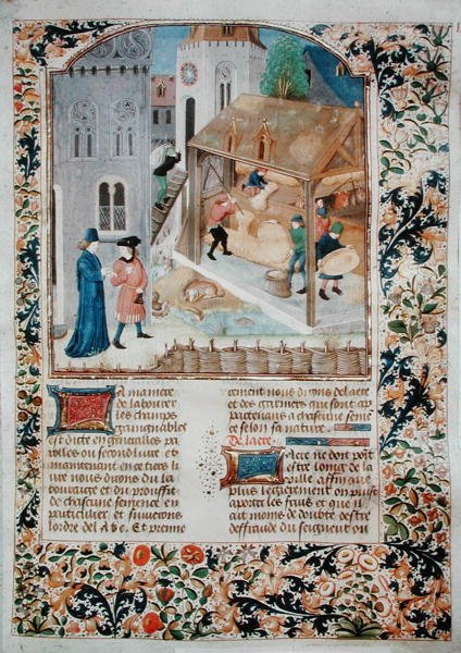 Ms 5064 fol.35r Trebbiatura, da Livre des Prouffitz Champestres di Pietro de Crescenzi da French School