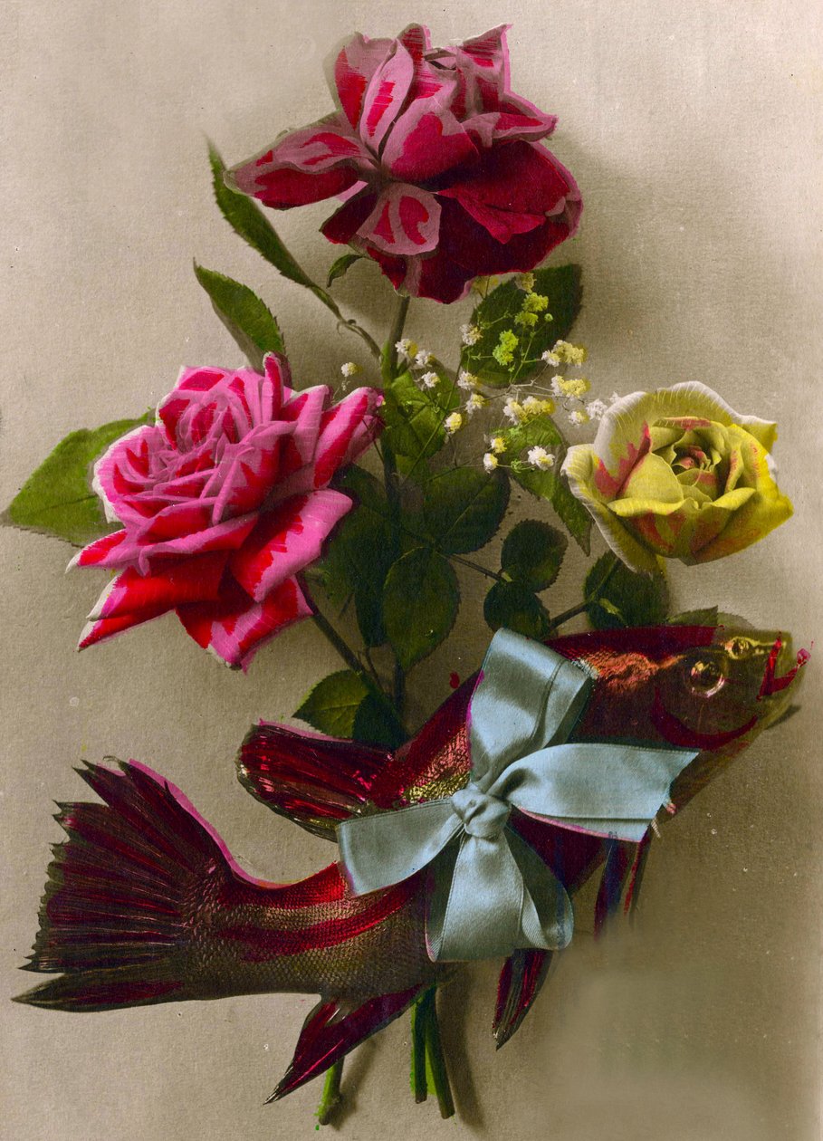 Rose e un pesce confezionato c.1898 da French School