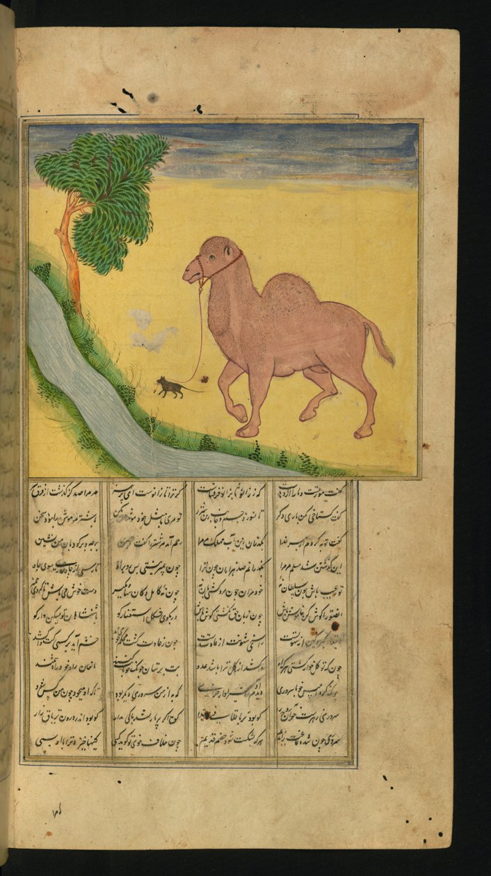Un Topo, che Afferra le Redini di un Cammello, presso un Ruscello, illustrazione da Una Raccolta di Poesie, di Jalal al-Din Rumi, 1663 da Persian School
