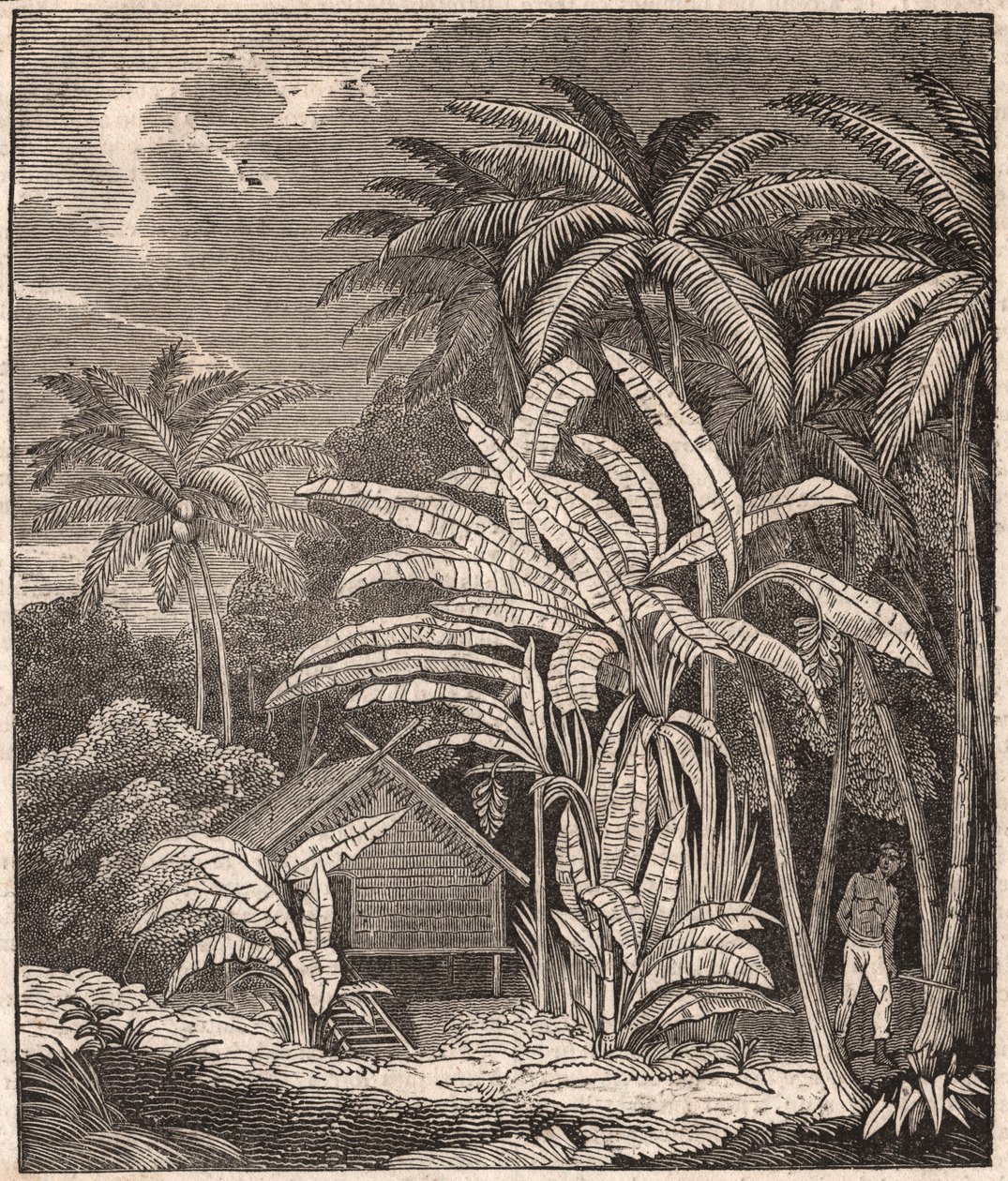 Veduta di una foresta tropicale con alberi di banane, capanne e abitanti da Unknown