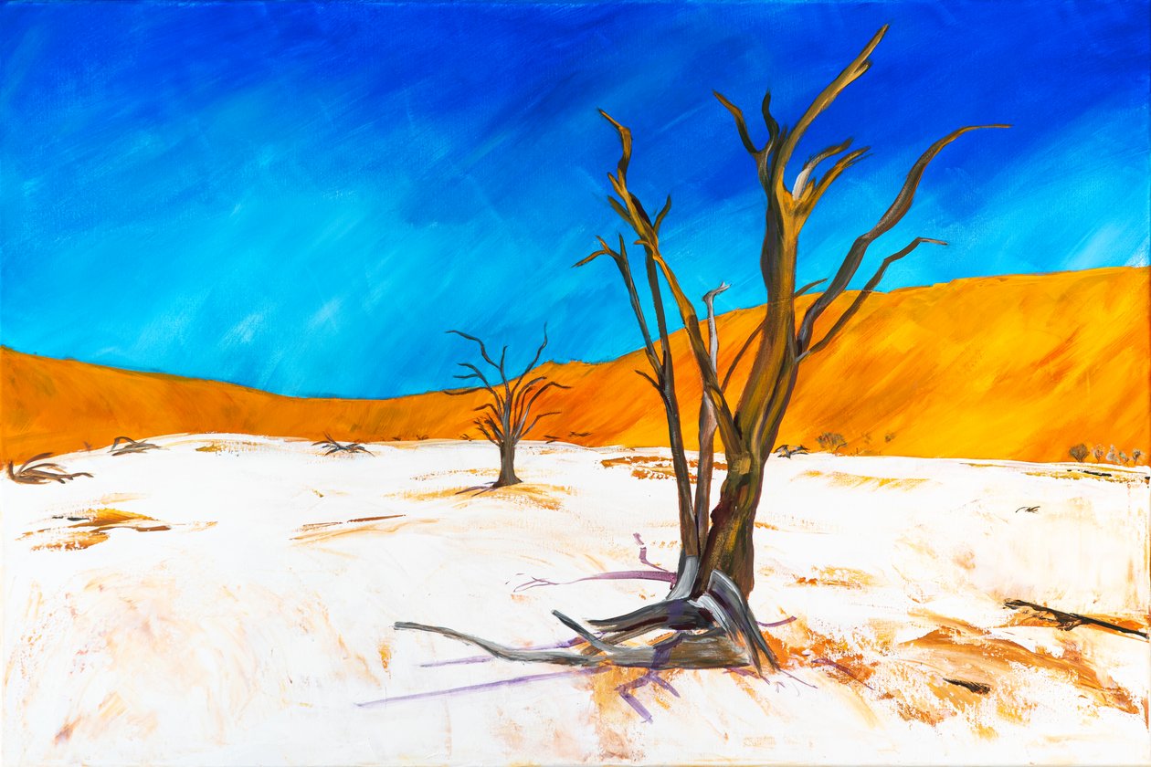 Dead Vlei da H.Opitz