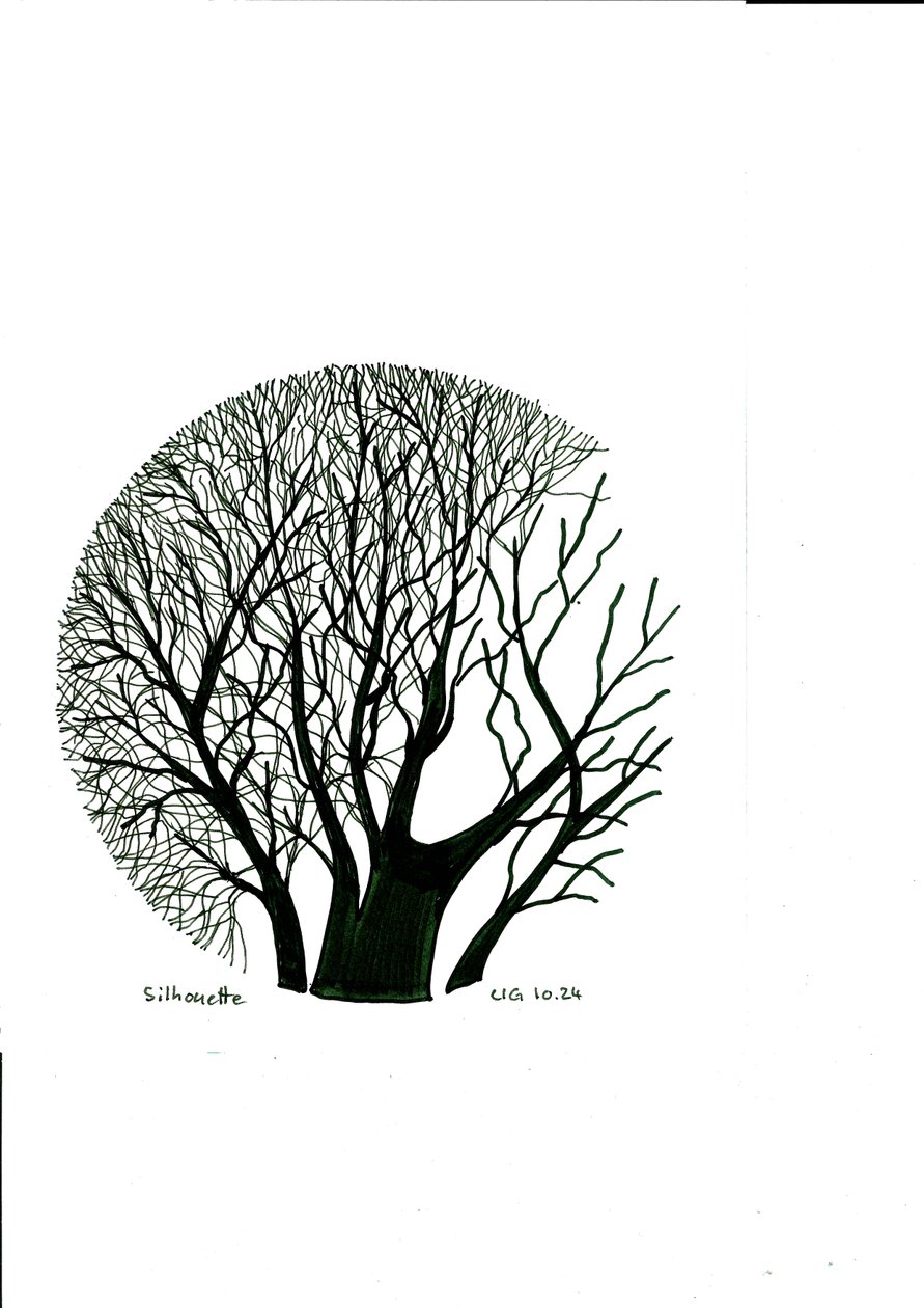 Silhouette da Urs Grünenfelder