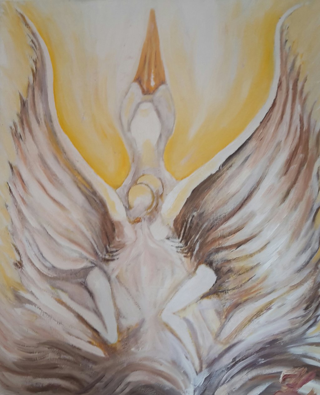 La danza del cigno da Phantalis
