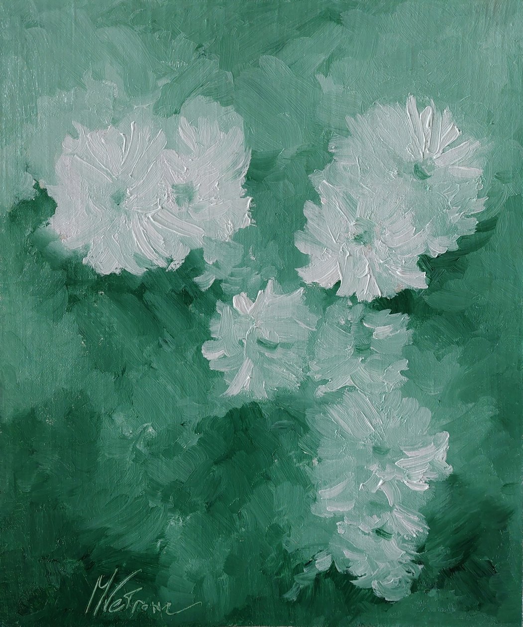 Fiori bianchi da M. Vet