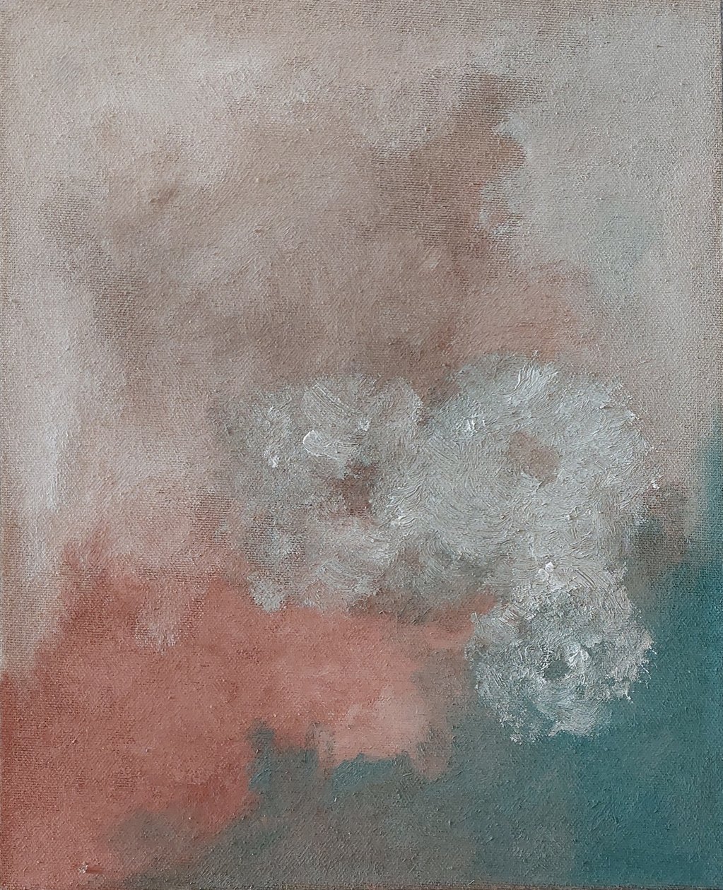 Bianche rose da M. Vet