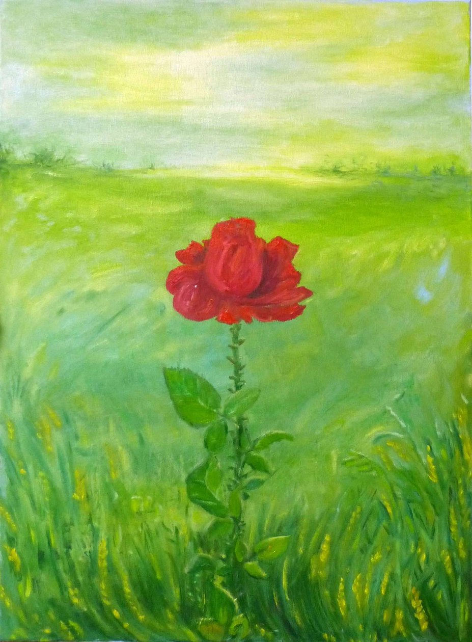 Rosa da Elzbieta Goszczycka