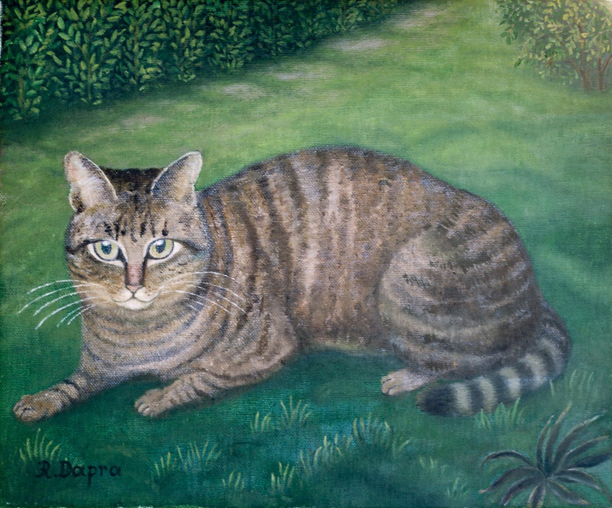 Il gatto Julia da Regine Dapra