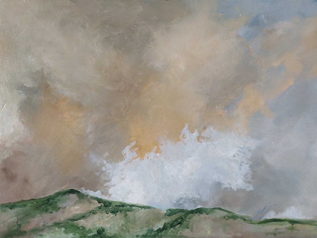 Tramonto in cielo da M. Vet