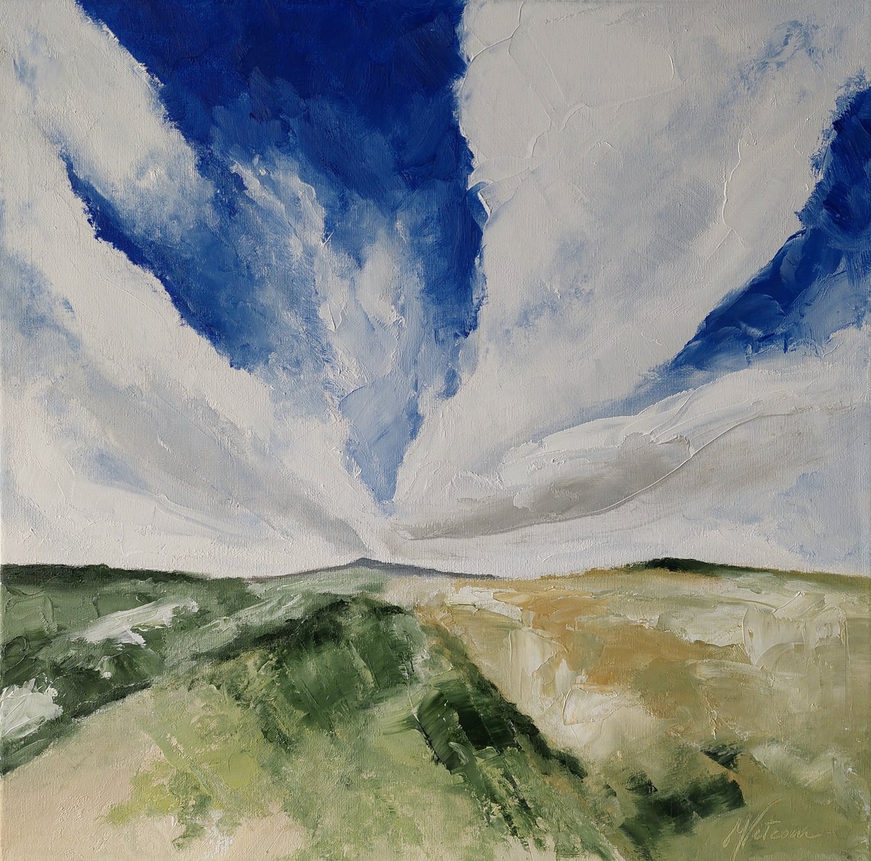 Colline nel verde da M. Vet