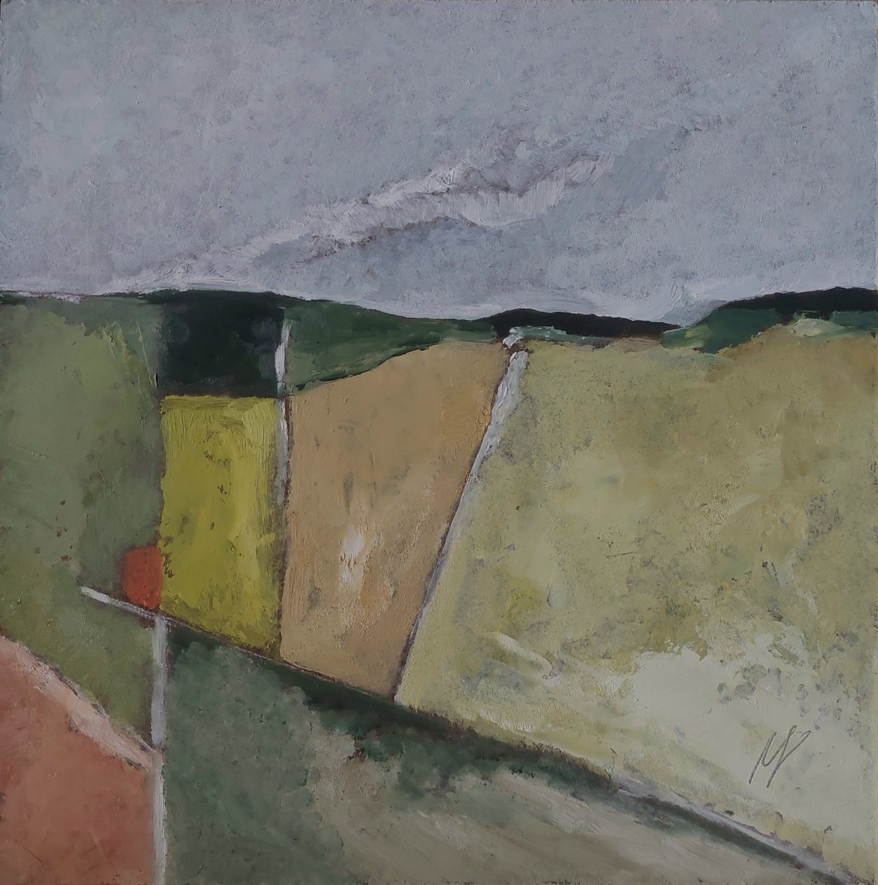 Colline ripide da M. Vet