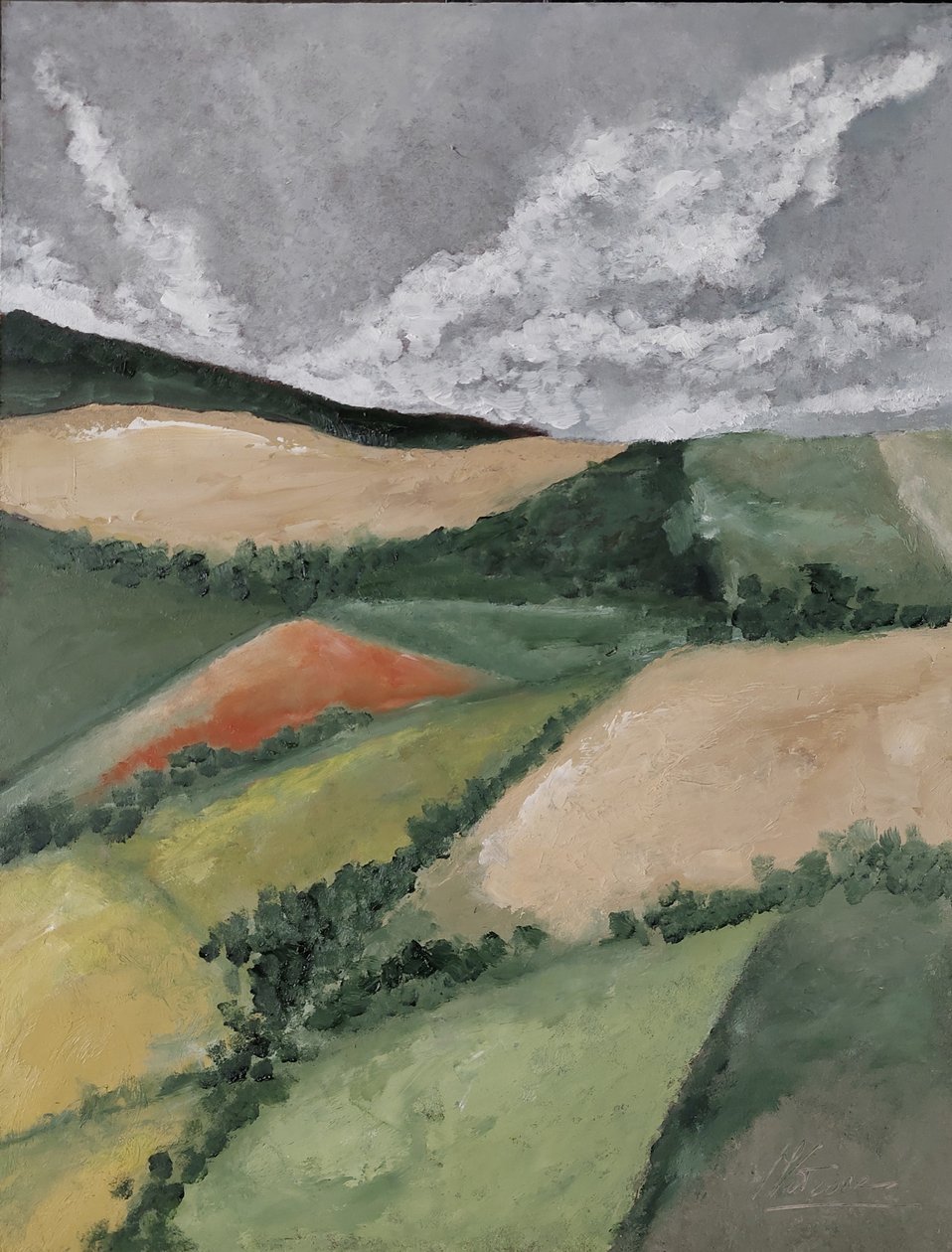 Siepi tra campi da M. Vet