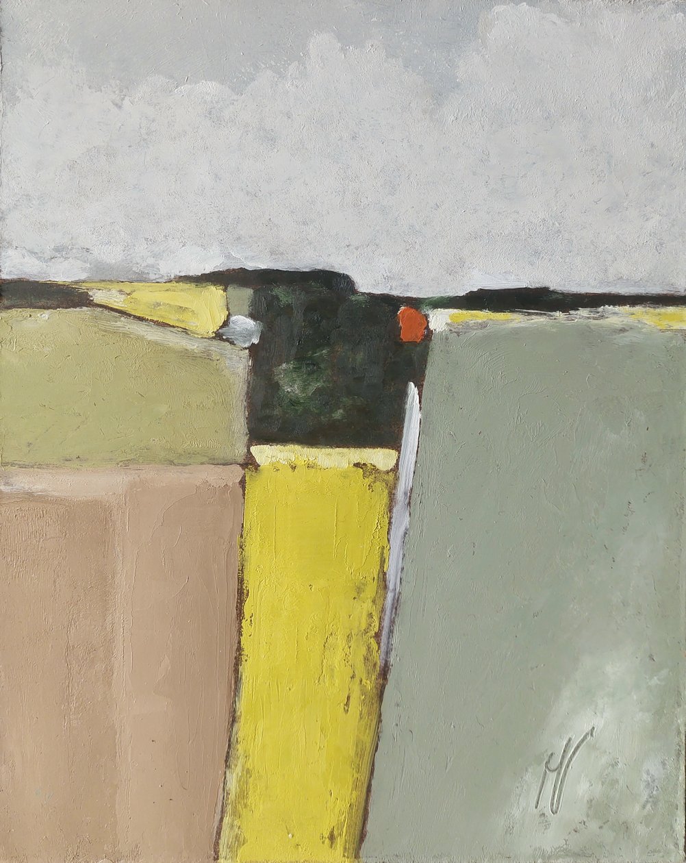 Campi a schema regolare da M. Vet