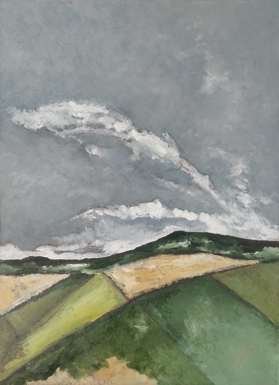 Dopo la pioggia  da M. Vet