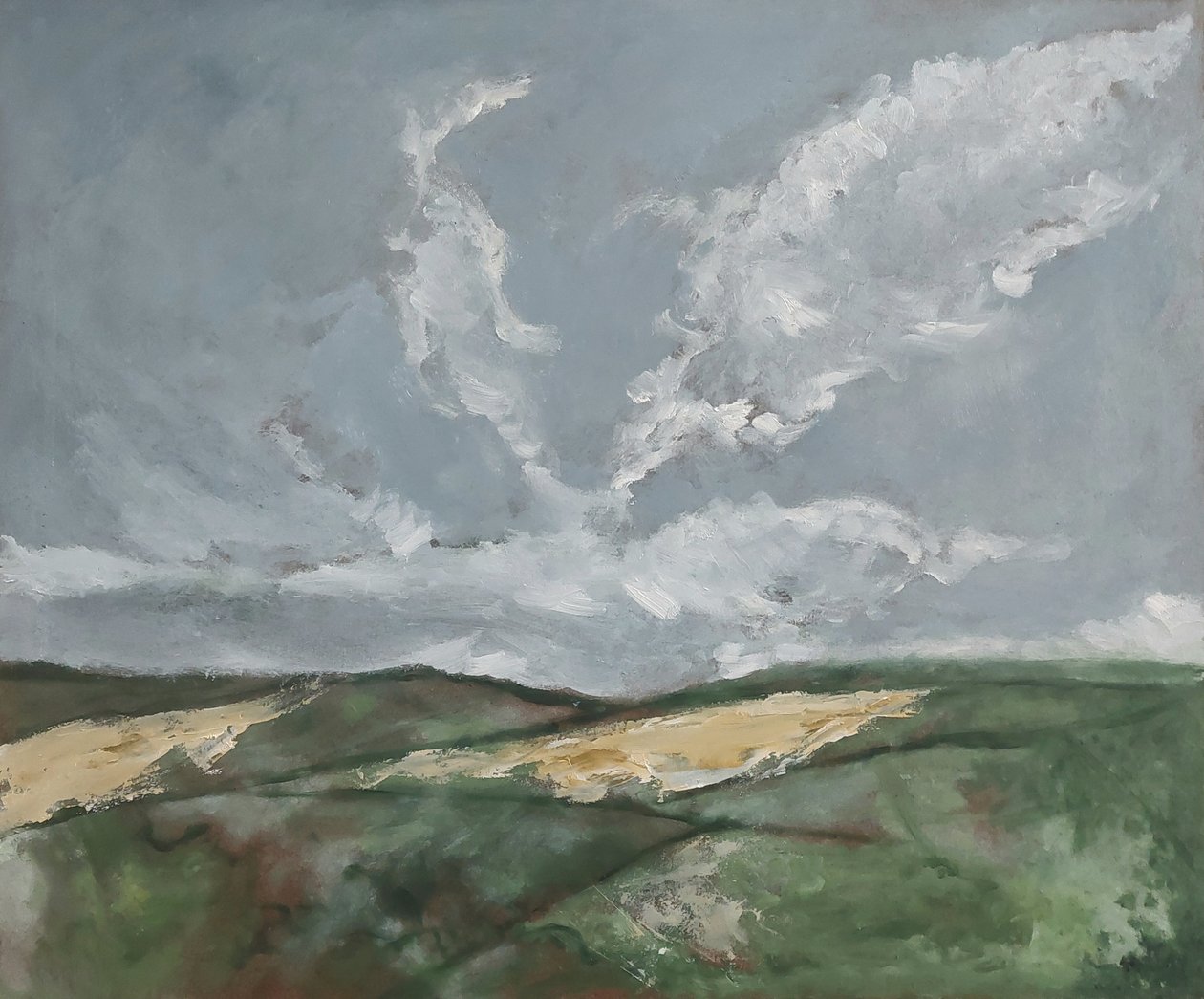 Mie colline  da M. Vet