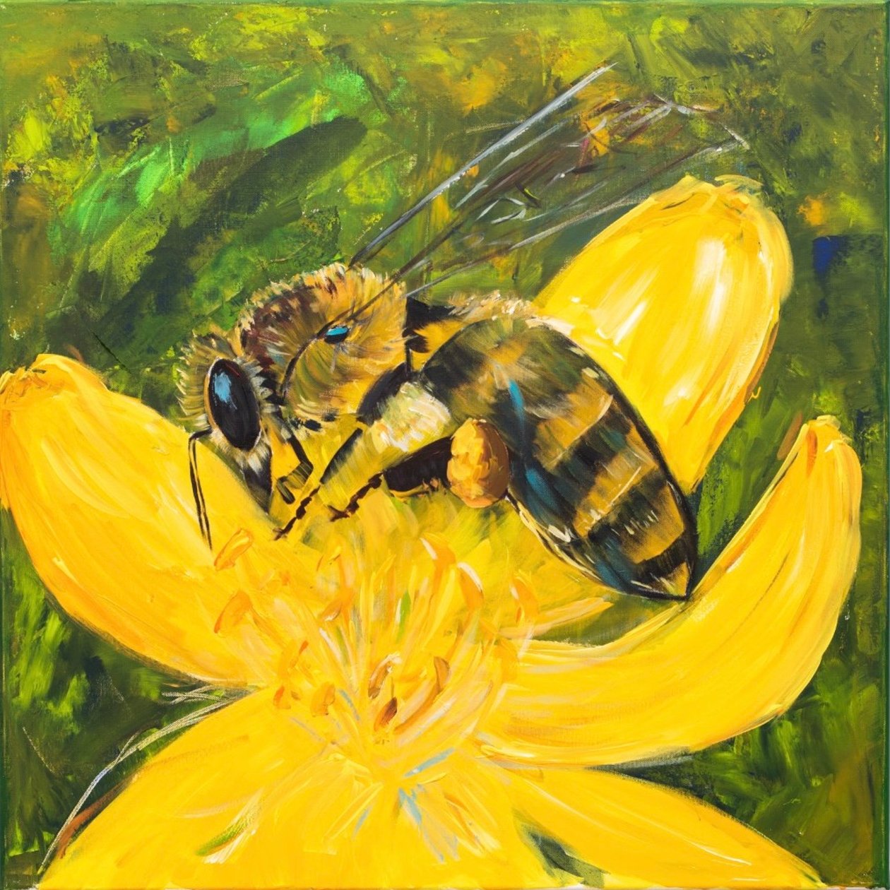 In paradiso da H.Opitz