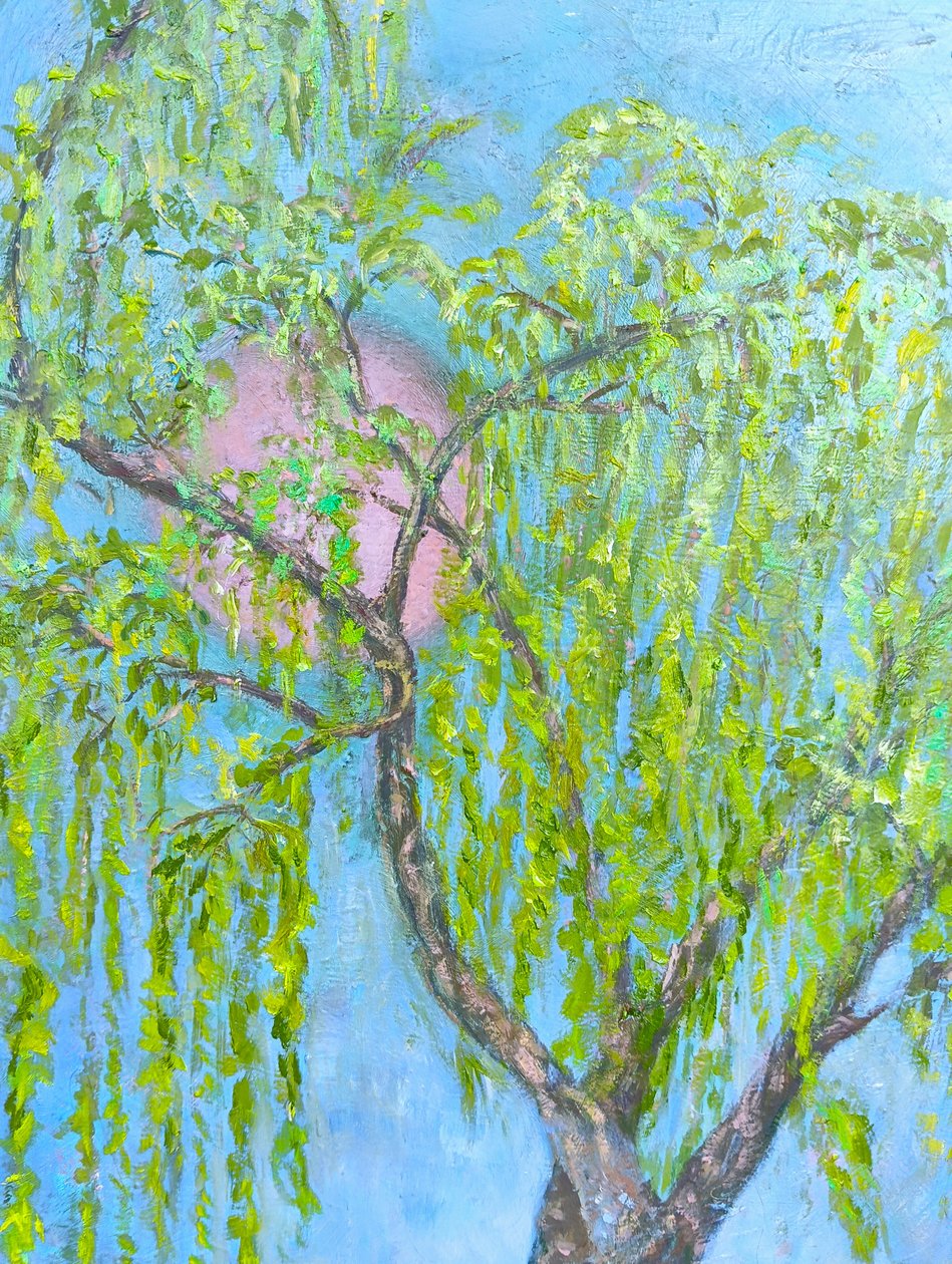 Il salice che non ride da Elzbieta Goszczycka