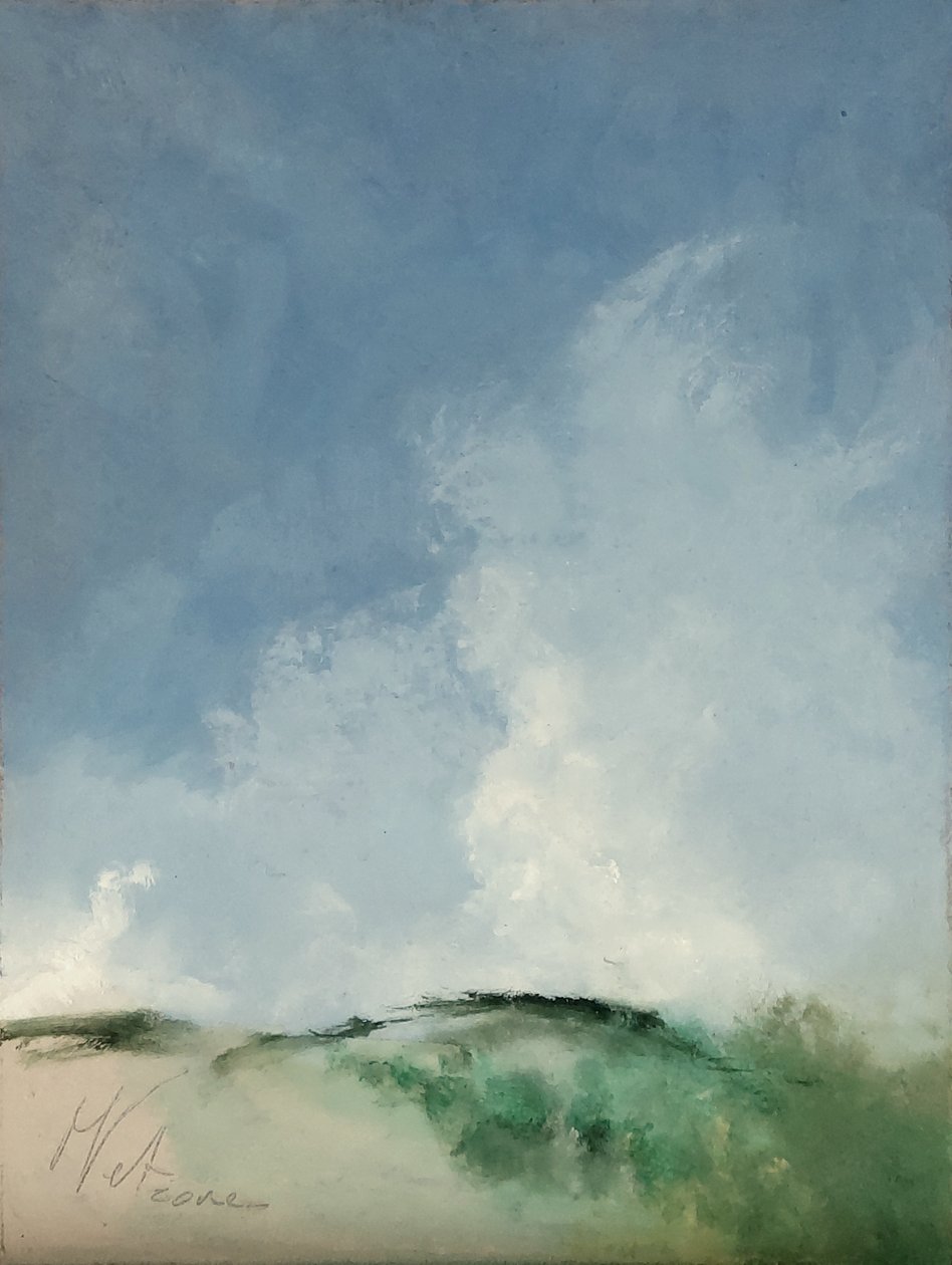 Luogo paludoso da M. Vet