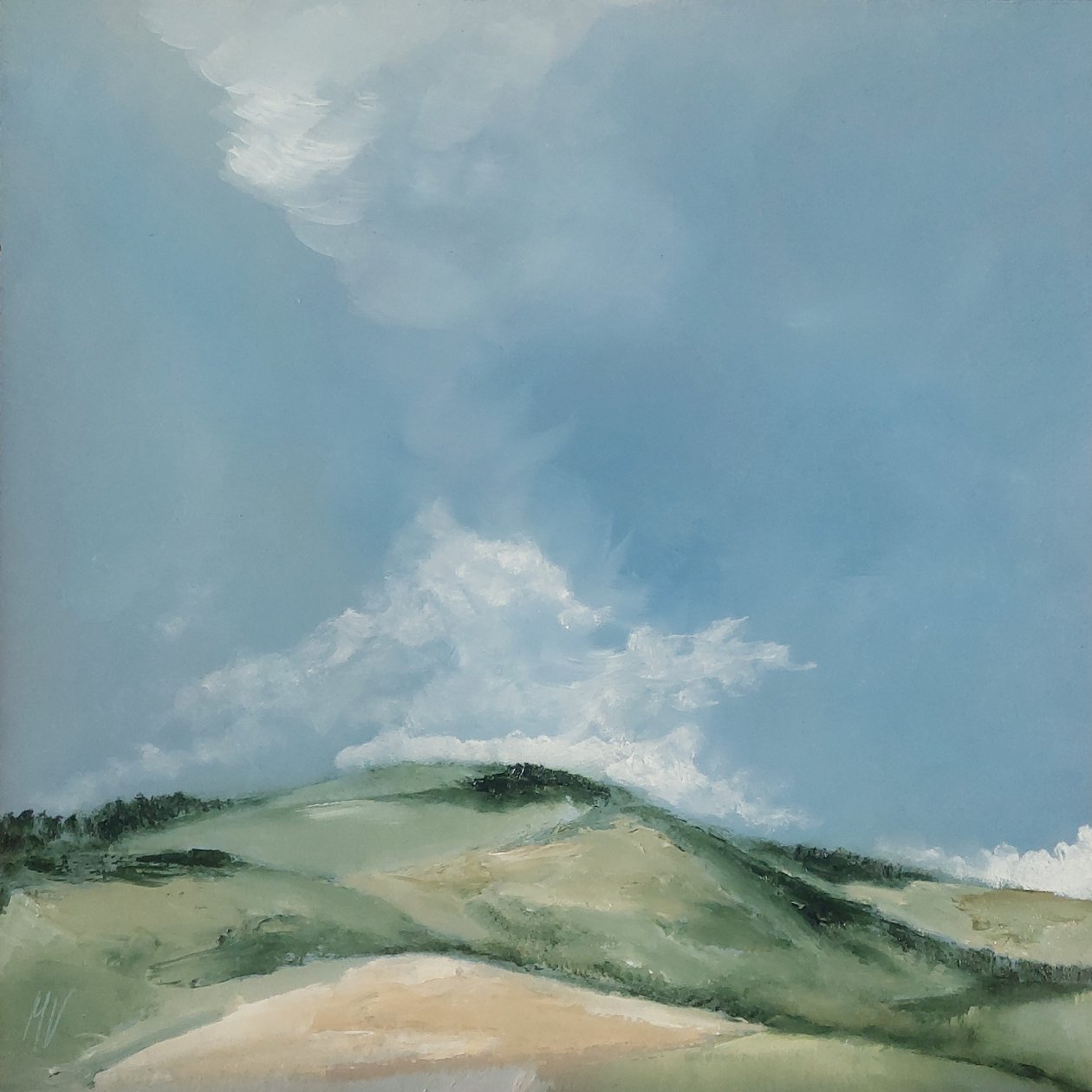 Collina Piana da M. Vet