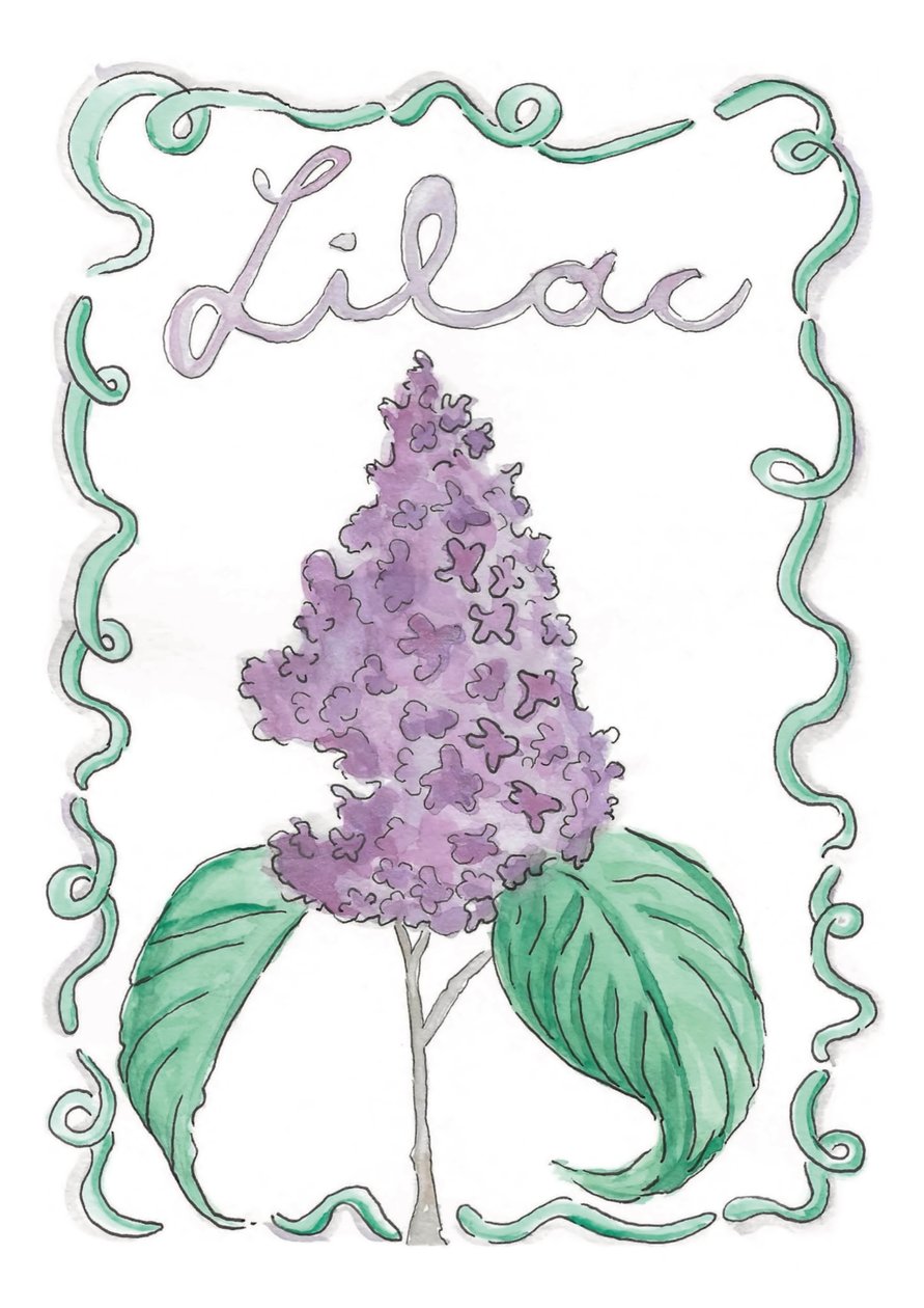 Lilla da june art