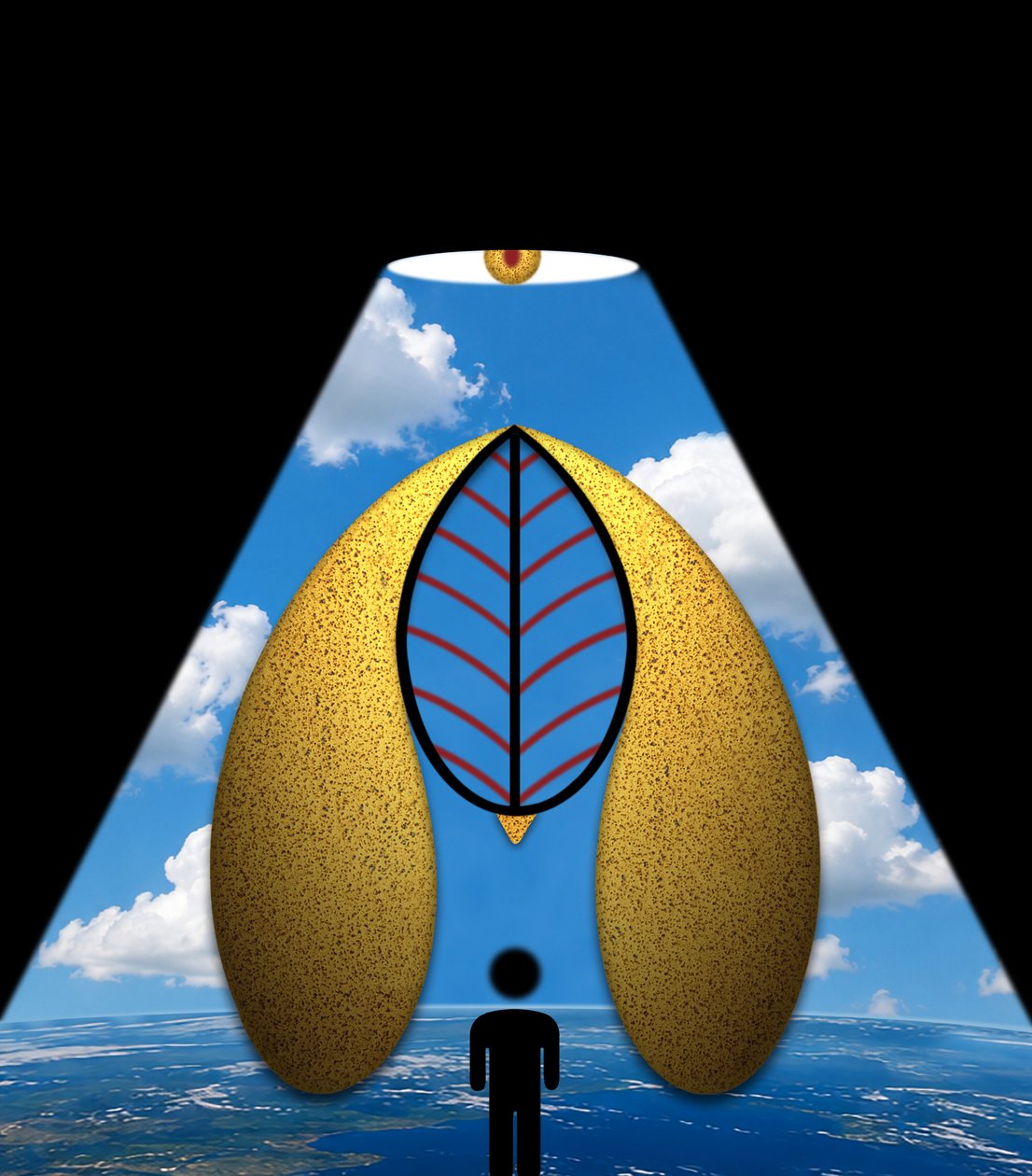 La meraviglia blu (dalla serie Radura) da Alexander Eibach