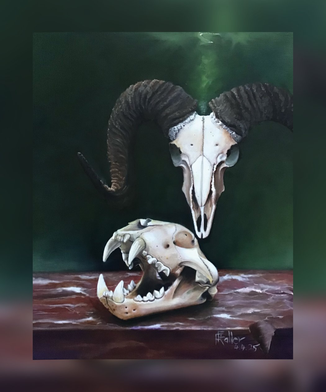 Memento mori (Studio di crani animali) da Faller Rüdiger - Tician