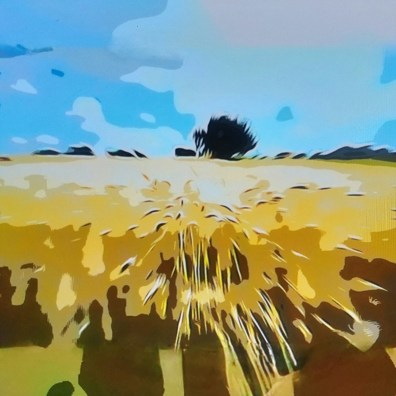Digitale Landschaft 12 da M. Vet