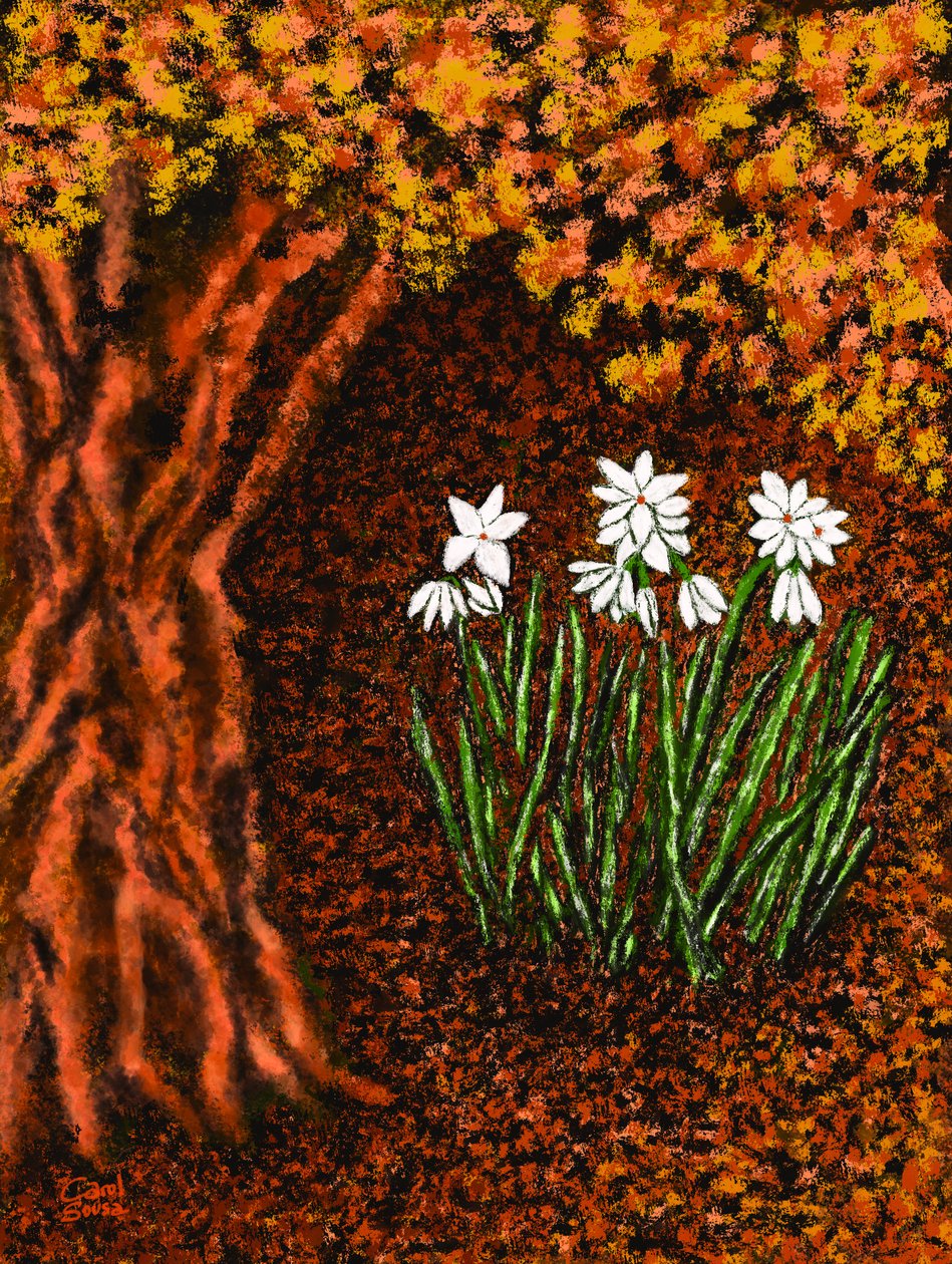 Herbstblumen da Carol Sousa Cuello
