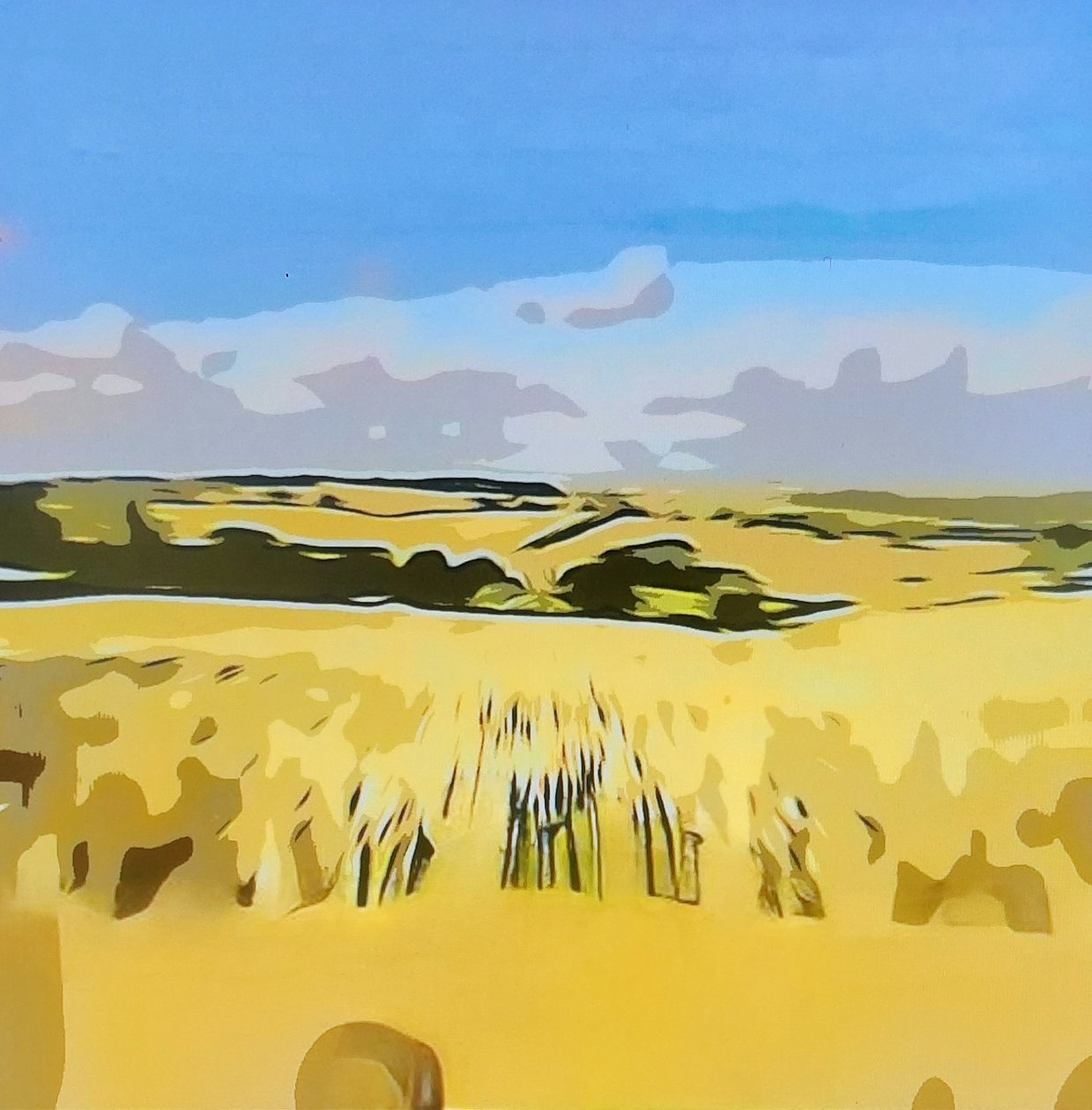 Digitale Landschaft 15 da M. Vet