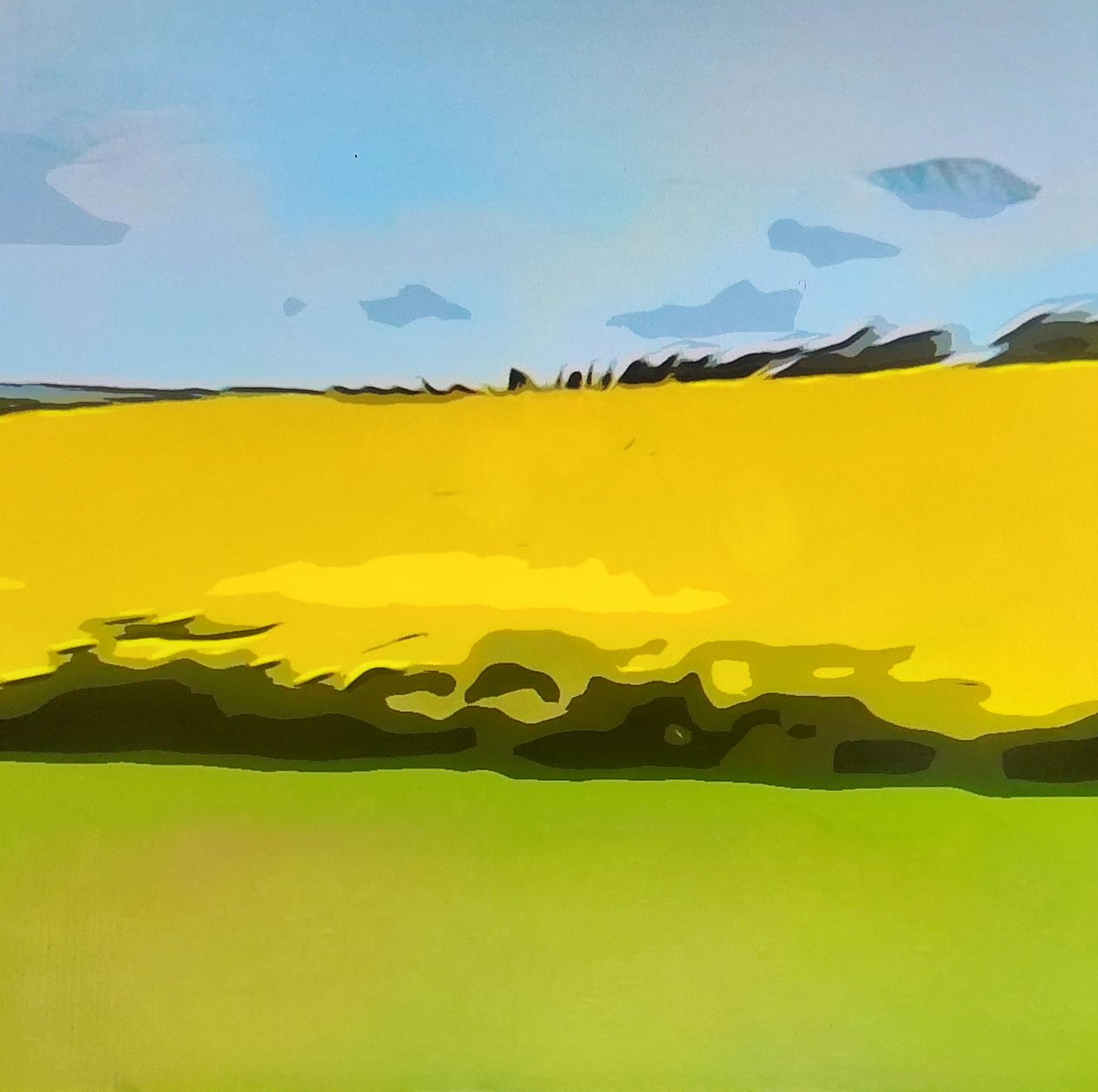 Digitale Landschaft 16 da M. Vet