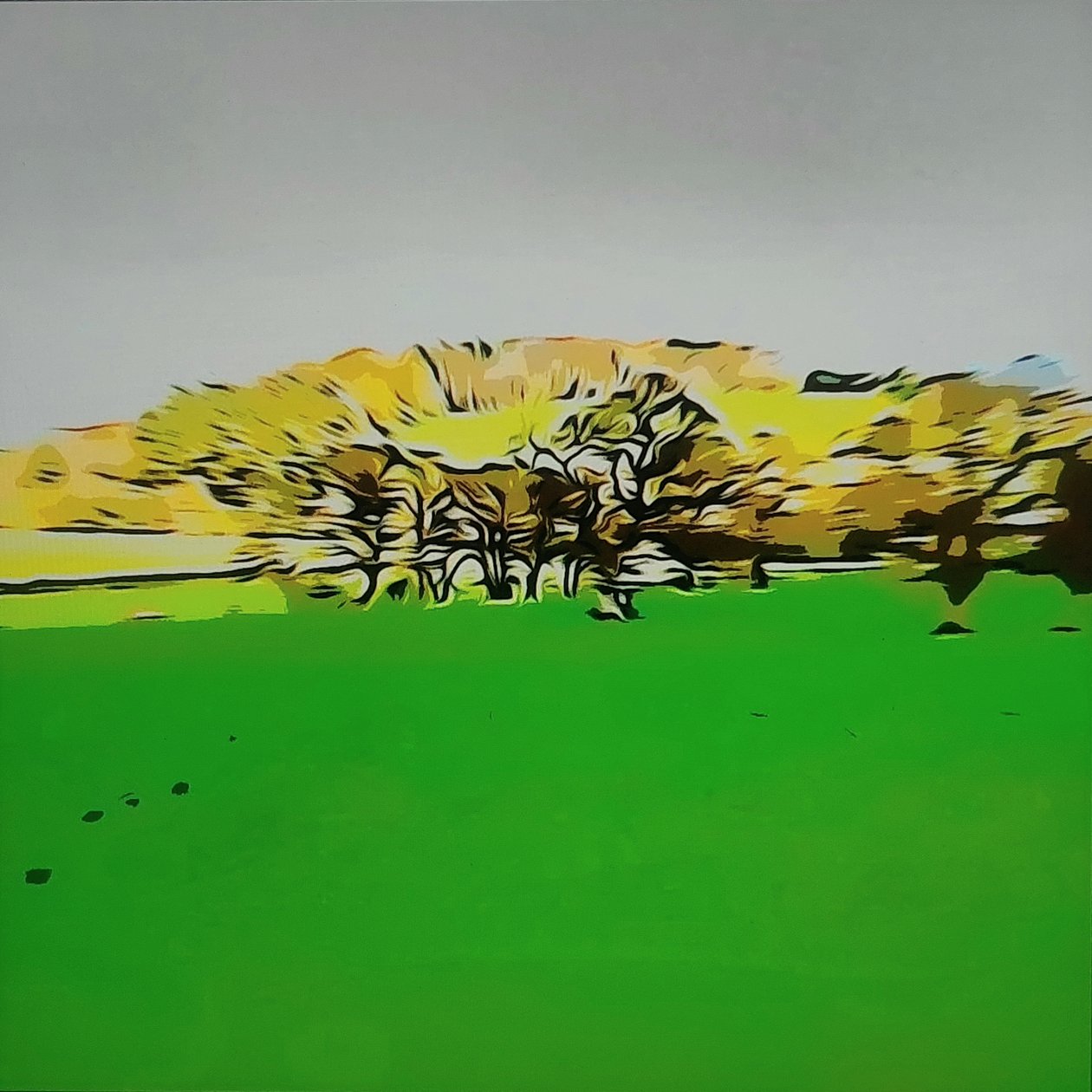 Digitale Landschaft 24 da M. Vet