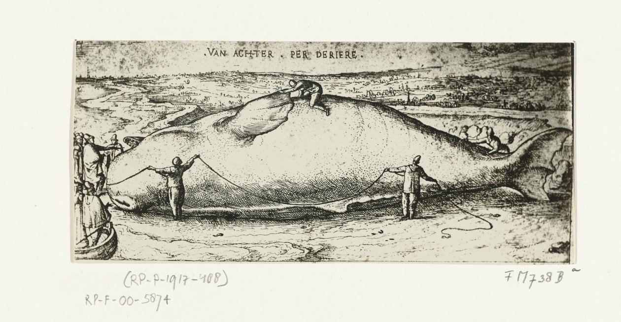 Stampa della balena arenata ad Anversa, 2 luglio 1577 da A.B. van Deinse