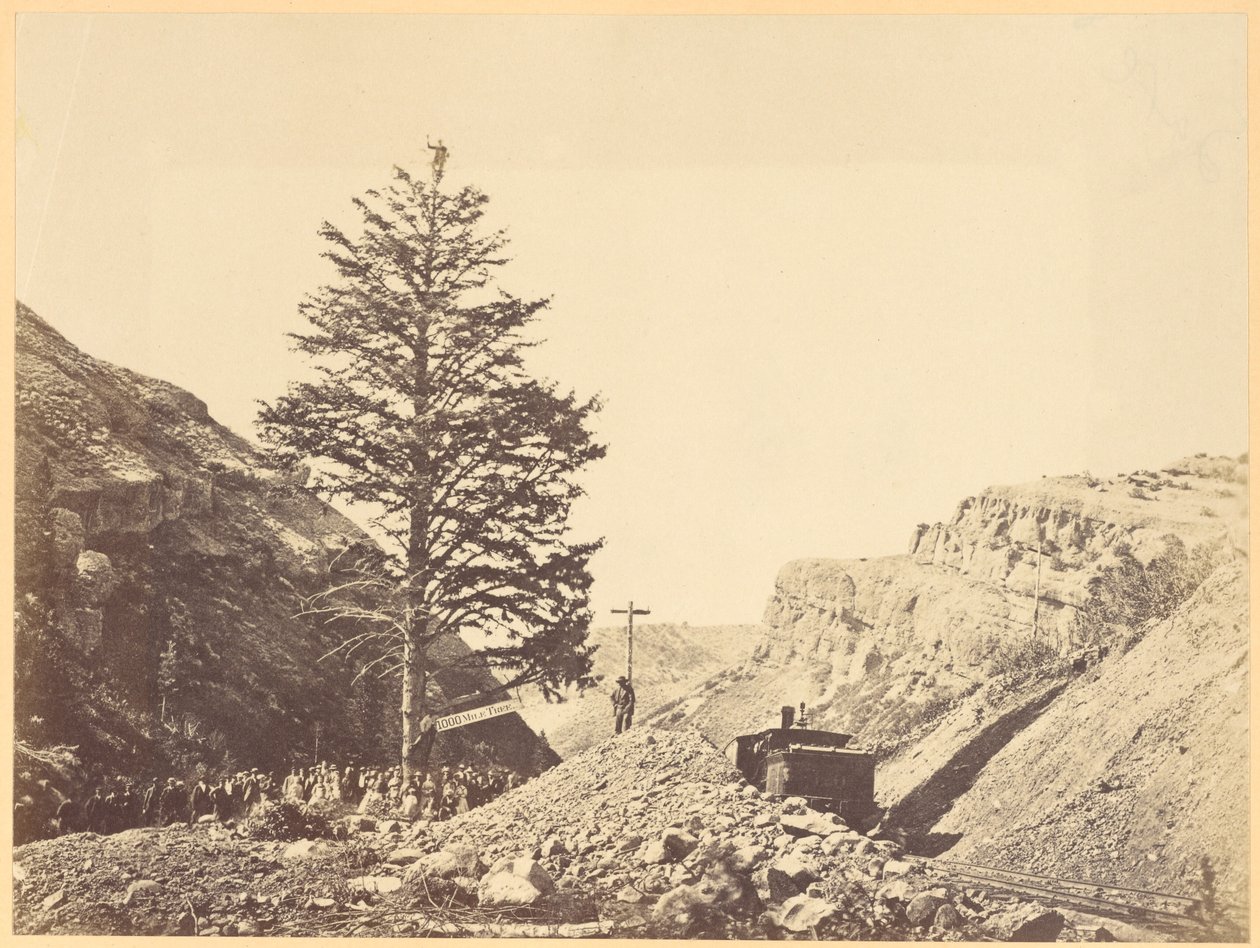 Albero delle mille miglia, Passo di Wilhemina da A.J. Russell