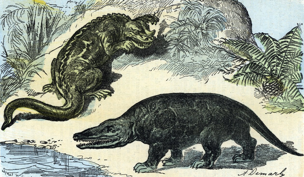 Preistoria: rappresentazione di un iguanodonte e megalosauro del periodo Cretaceo da A. Demarle
